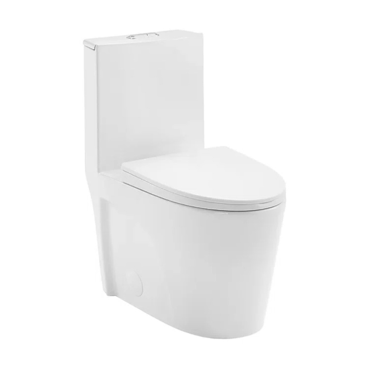 DV-1F52102 Ace Elongated One-Piece Toilet ,1.6 GPF Dual-Flush
