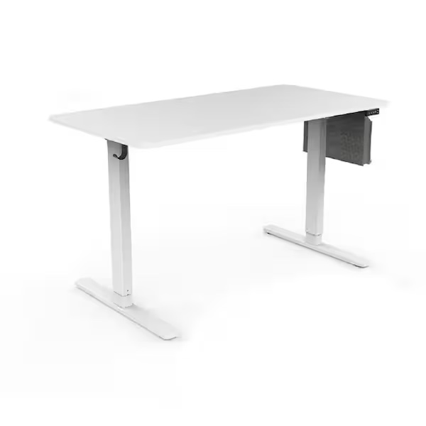 48 in. x 24 in. White Wood and Iron Home Office Computer Electric Height Adjustable Standing Desk