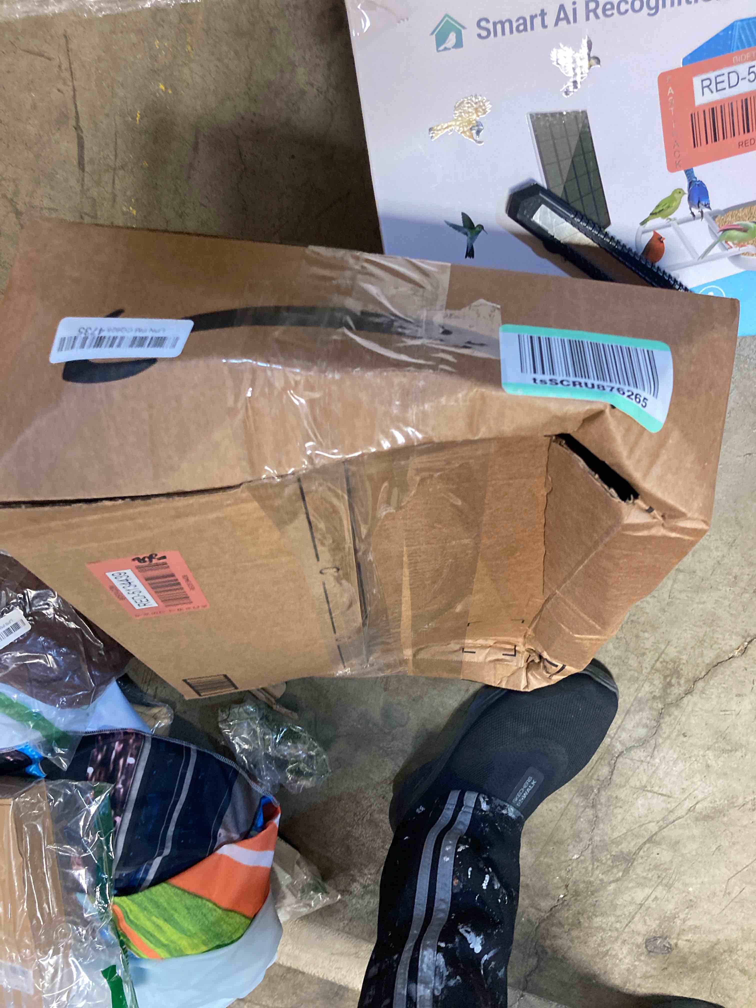 https://s3.amazonaws.com/lotting-images-prod/phillipi/RED5134439_1711564116963.jpeg