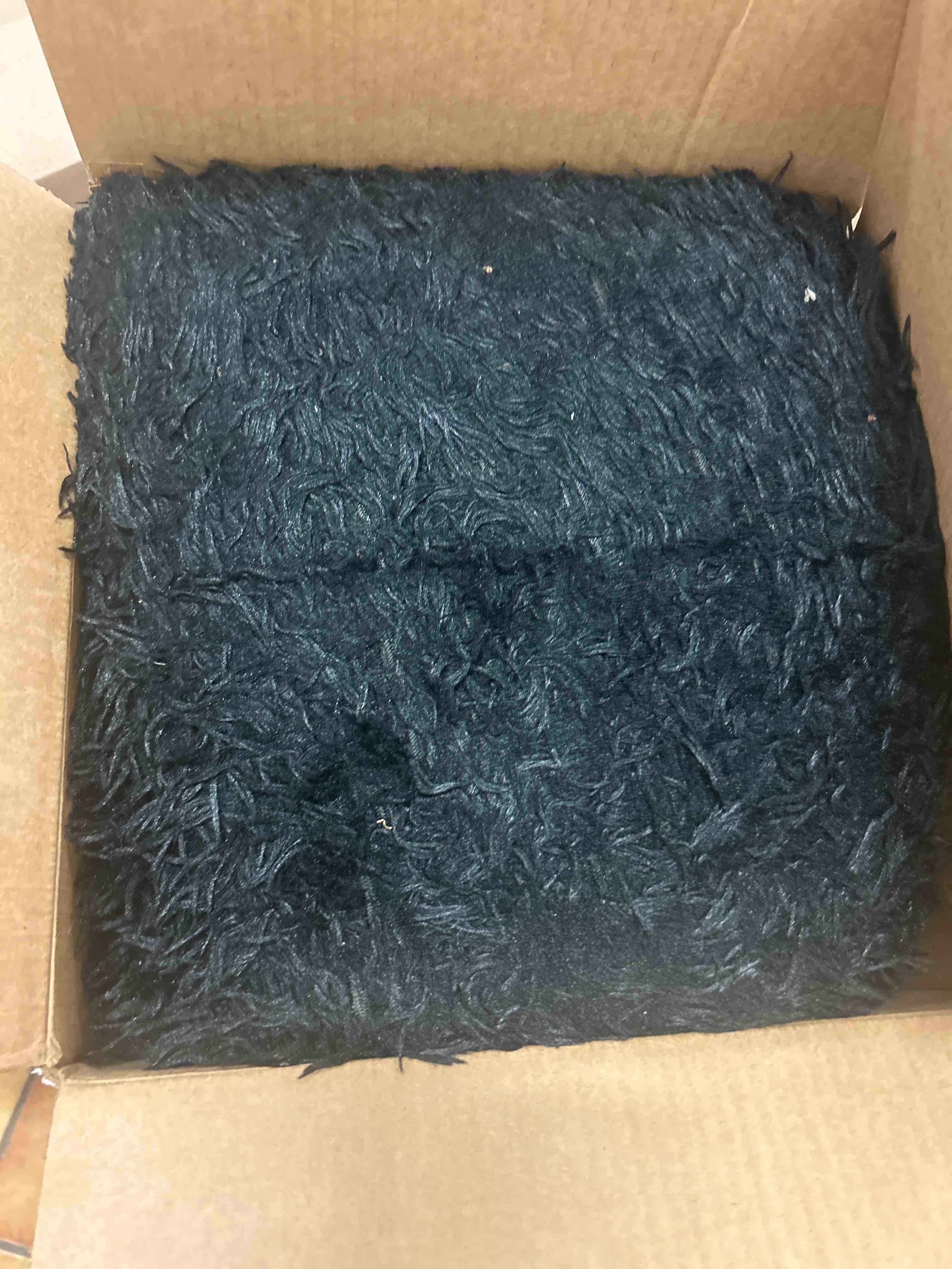 https://s3.amazonaws.com/lotting-images-prod/phillipi/RED5180114_1693599653914.jpeg