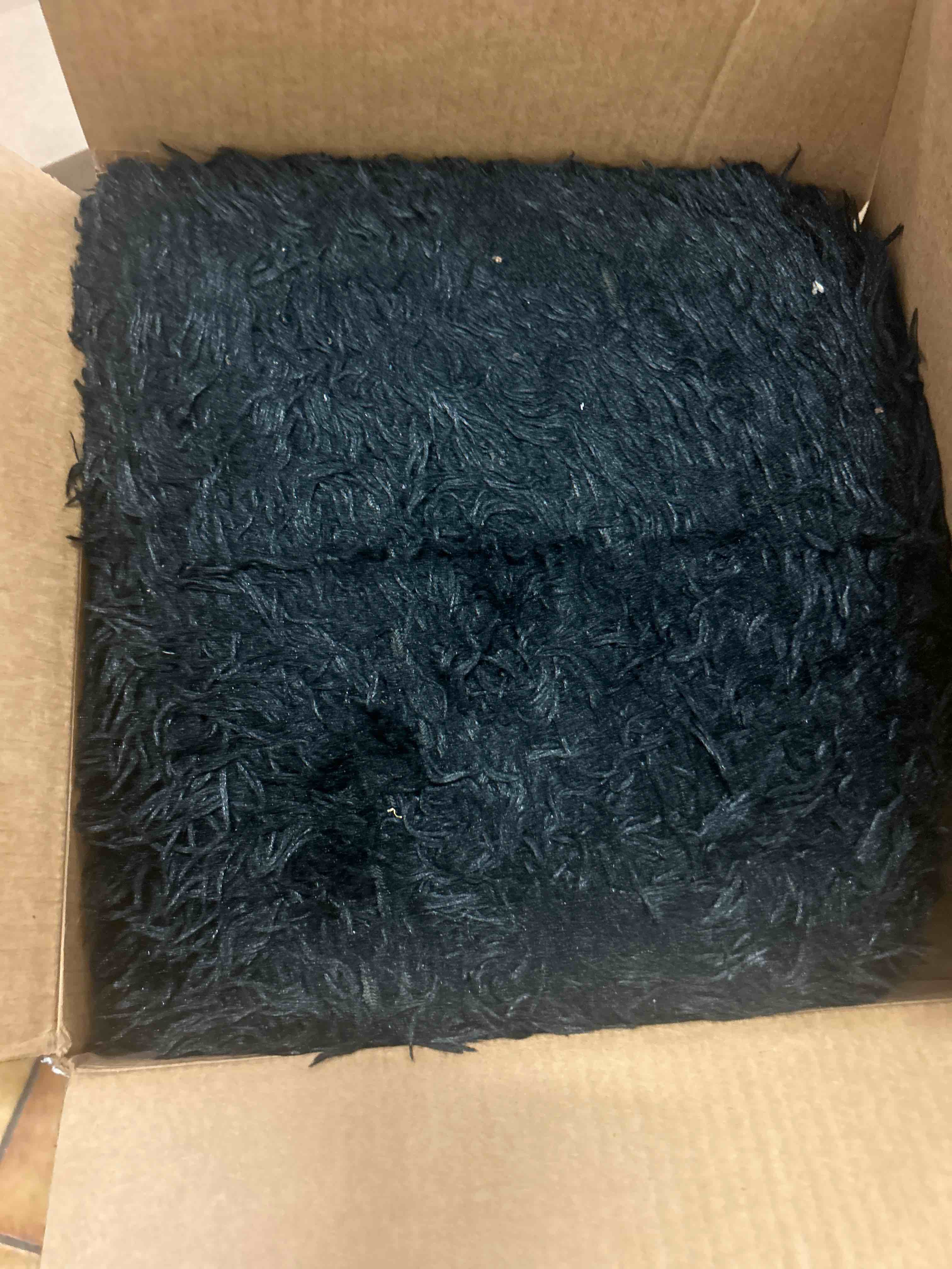https://s3.amazonaws.com/lotting-images-prod/phillipi/RED5180114_1693599655414.jpeg