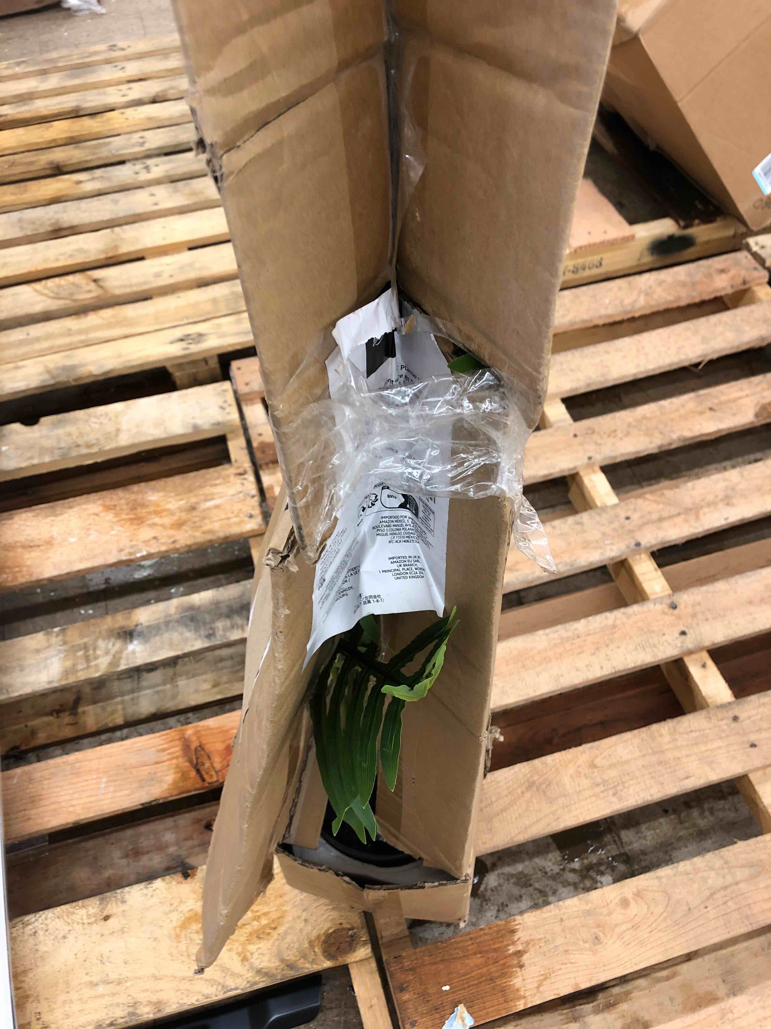 https://s3.amazonaws.com/lotting-images-prod/phillipi/RED5183157_1688396368423.jpeg