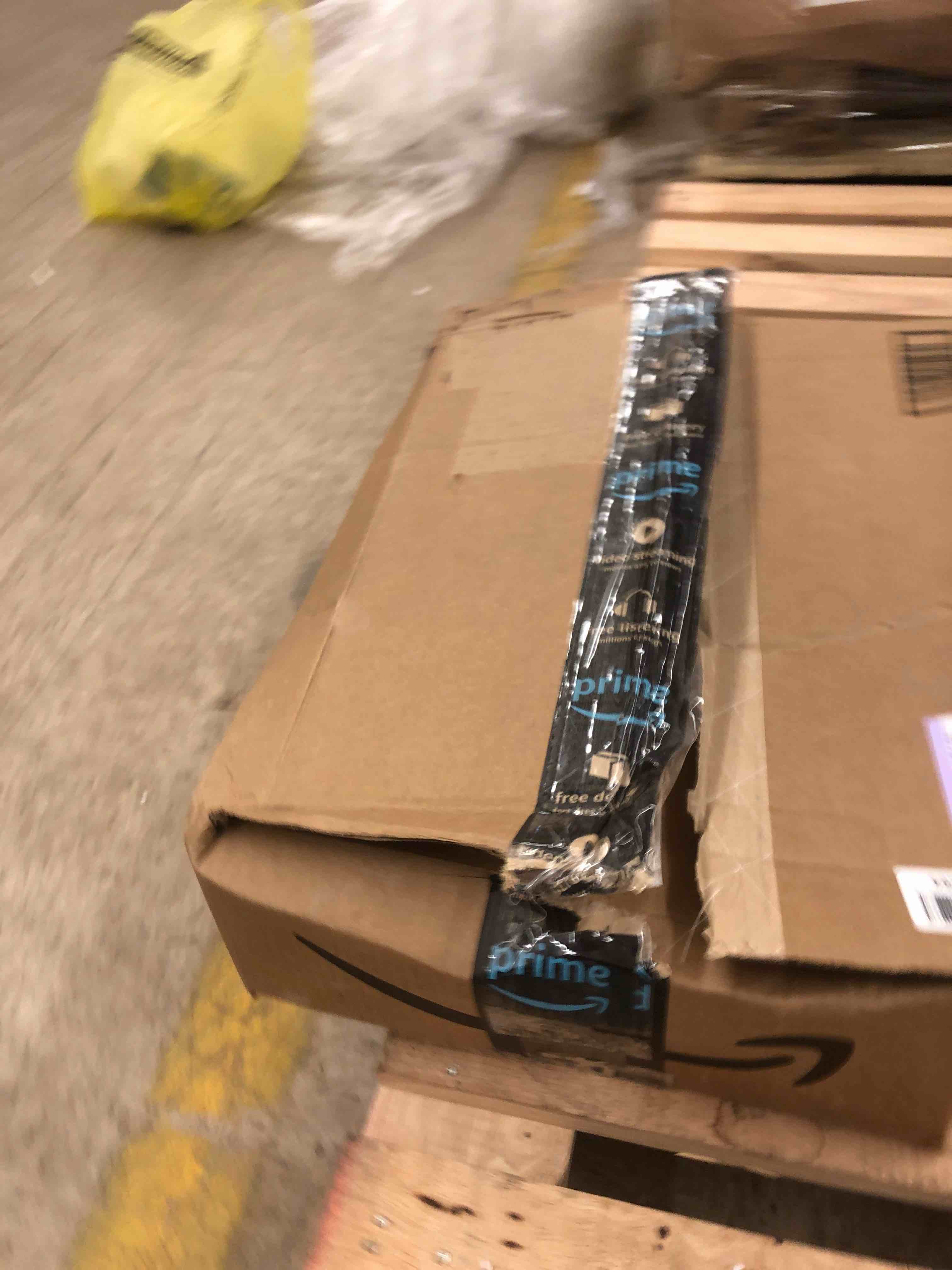 https://s3.amazonaws.com/lotting-images-prod/phillipi/RED5183224_1692373170982.jpeg
