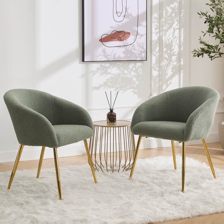 Joshpal 24.5'' Wide Side Chair Green Set of 2