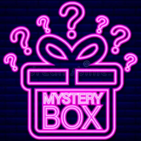 Bed Bath & Beyond MYSTERY 15 TOTAL ITEMS/ BID IS PER BOX