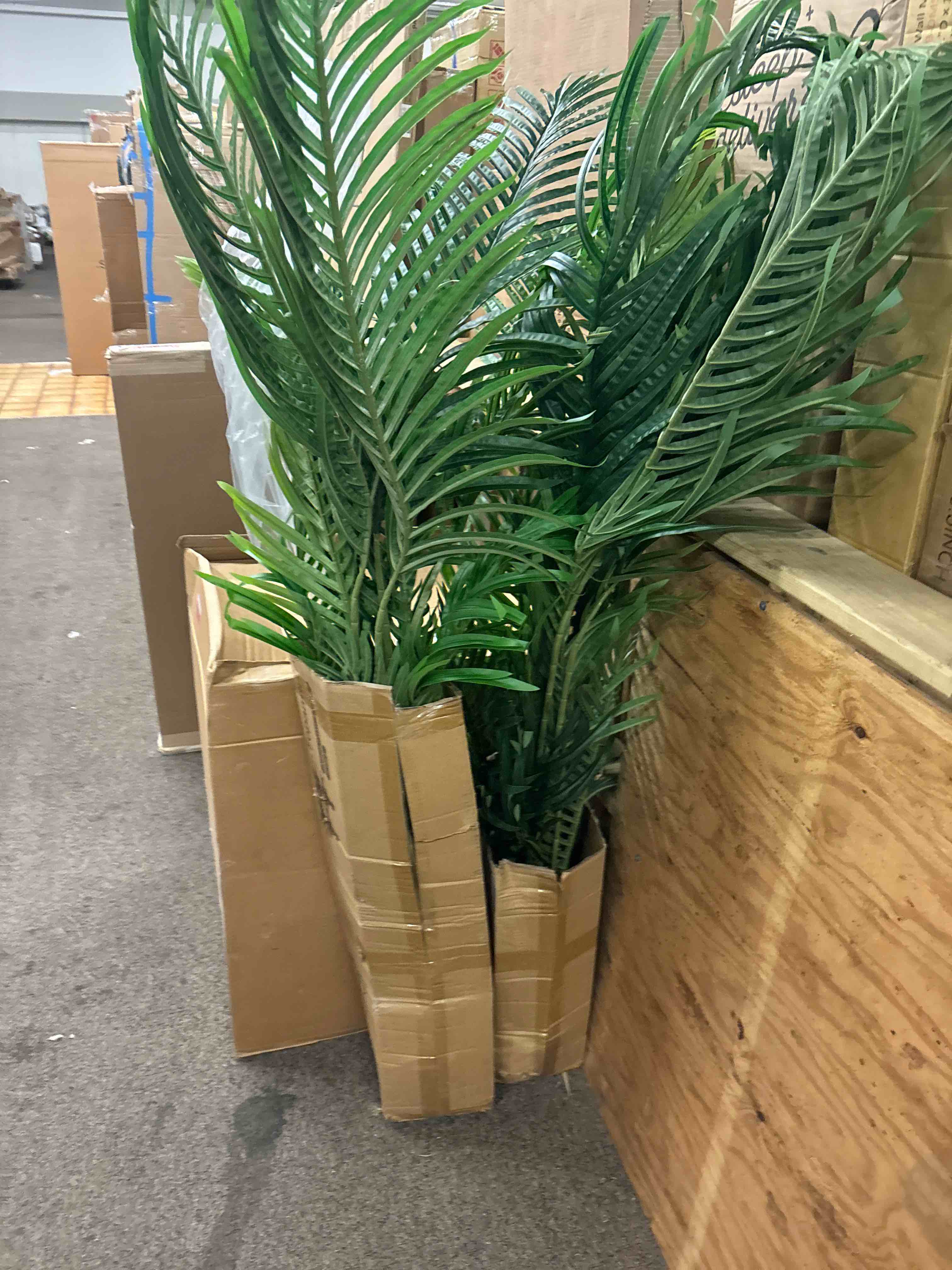 https://s3.amazonaws.com/lotting-images-prod/phillipi/RED5822943_1708723160910.jpeg