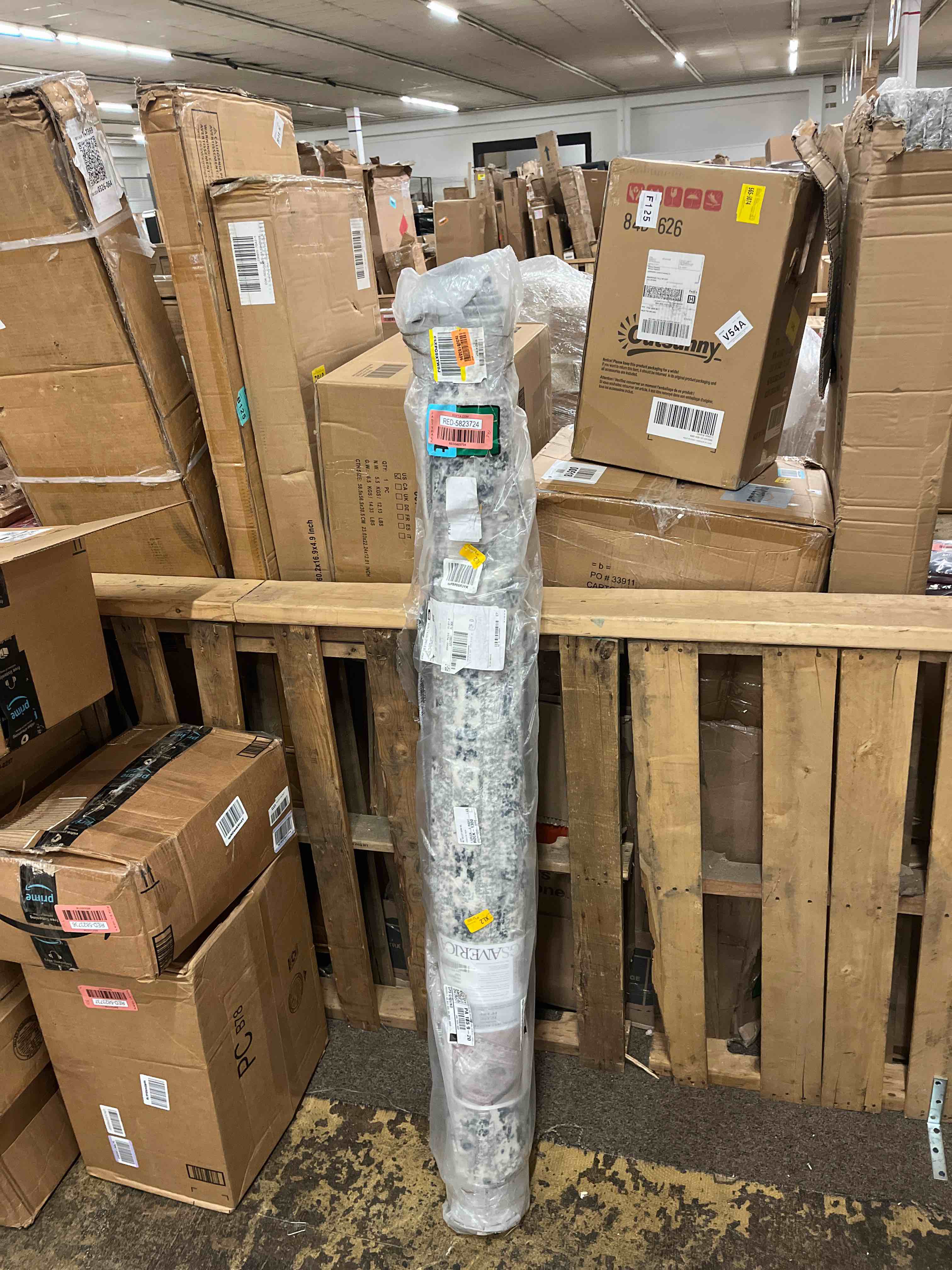 https://s3.amazonaws.com/lotting-images-prod/phillipi/RED5823724_1721389868532.jpeg