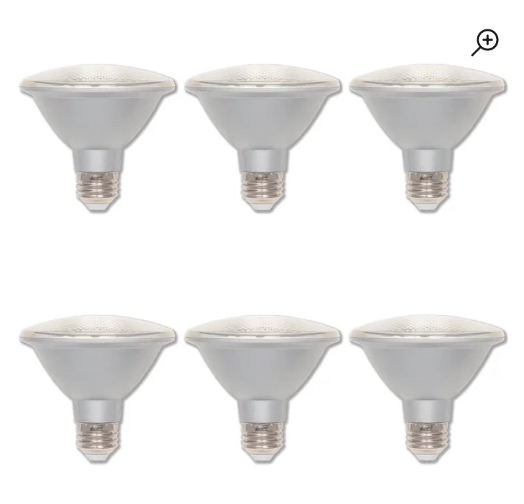5180020 75 Watt Equivalent PAR30 E26/Medium (Standard) Dimmable LED Bulb (Set of 6)