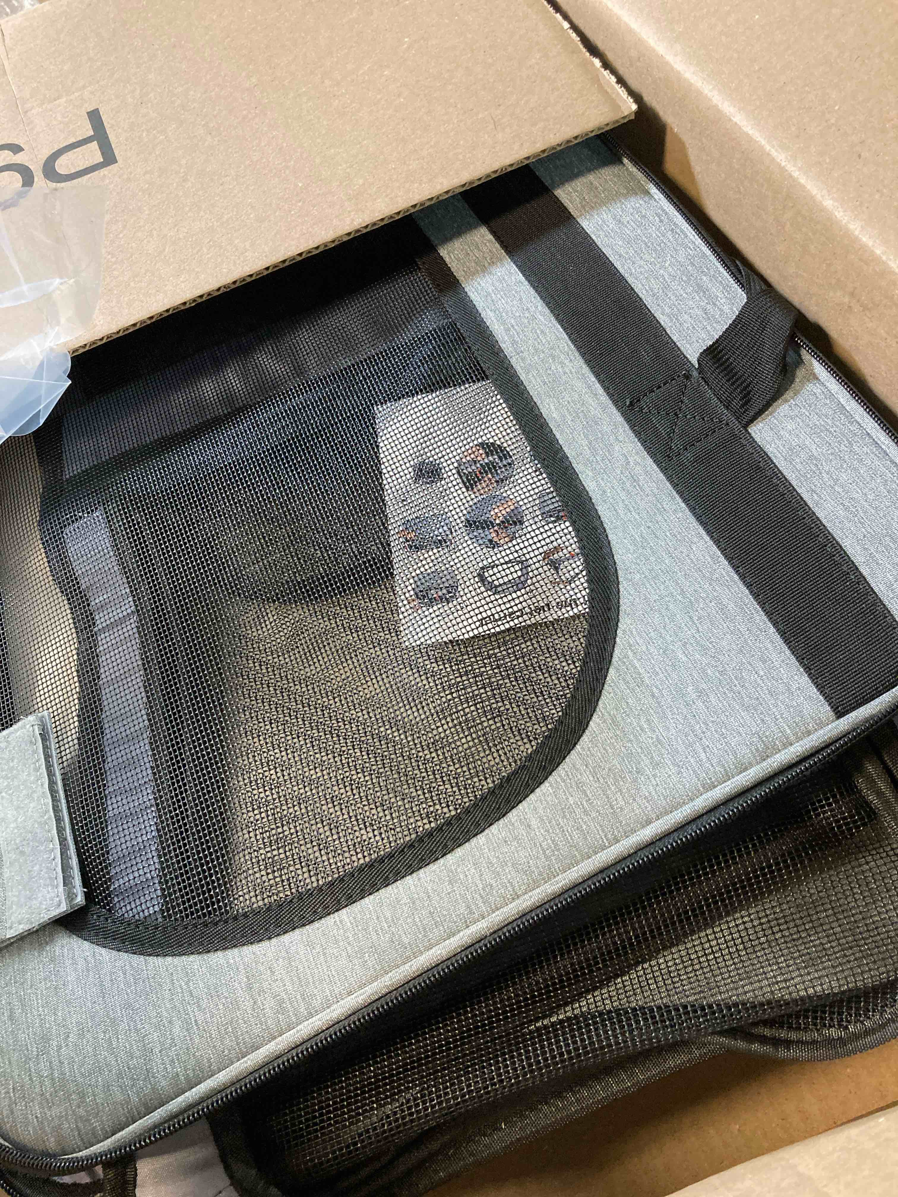 https://s3.amazonaws.com/lotting-images-prod/phillipi/RED6143028_1719947045500.jpeg