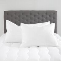 Goose Feather Bed Pillow for Sleeping, Hotel Down Pillows Queen Size Set of 2, Soft 600 Thread Count Cotton Cover, Fluffy Support Surround Fill Polyester for Back, Stomach, Side Sleepers