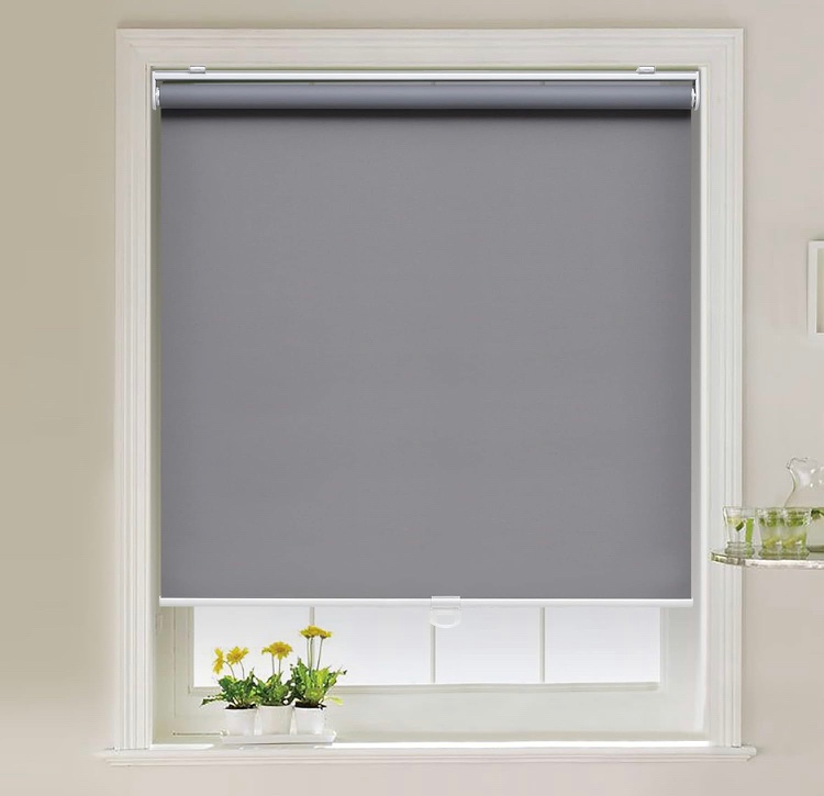 Cordless Roller Shades Blackout Blinds for Windows Room Darkening Rolled Up Shades with Spring System, UV Protection Window Shades Door Blinds for Home and Office (23" W x 72" H, Grey)