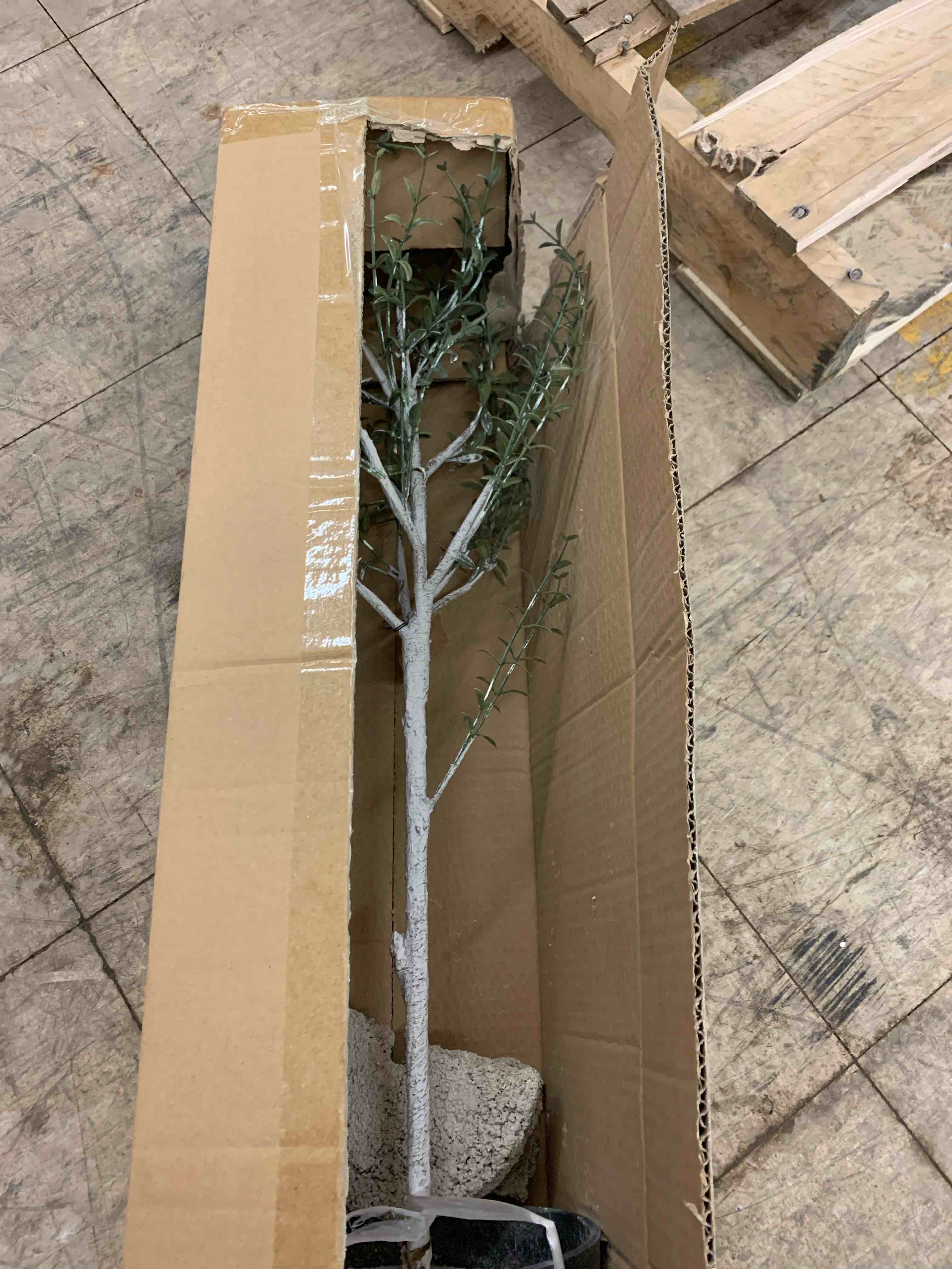 https://s3.amazonaws.com/lotting-images-prod/phillipi/RED6536726_1734541450800.jpeg