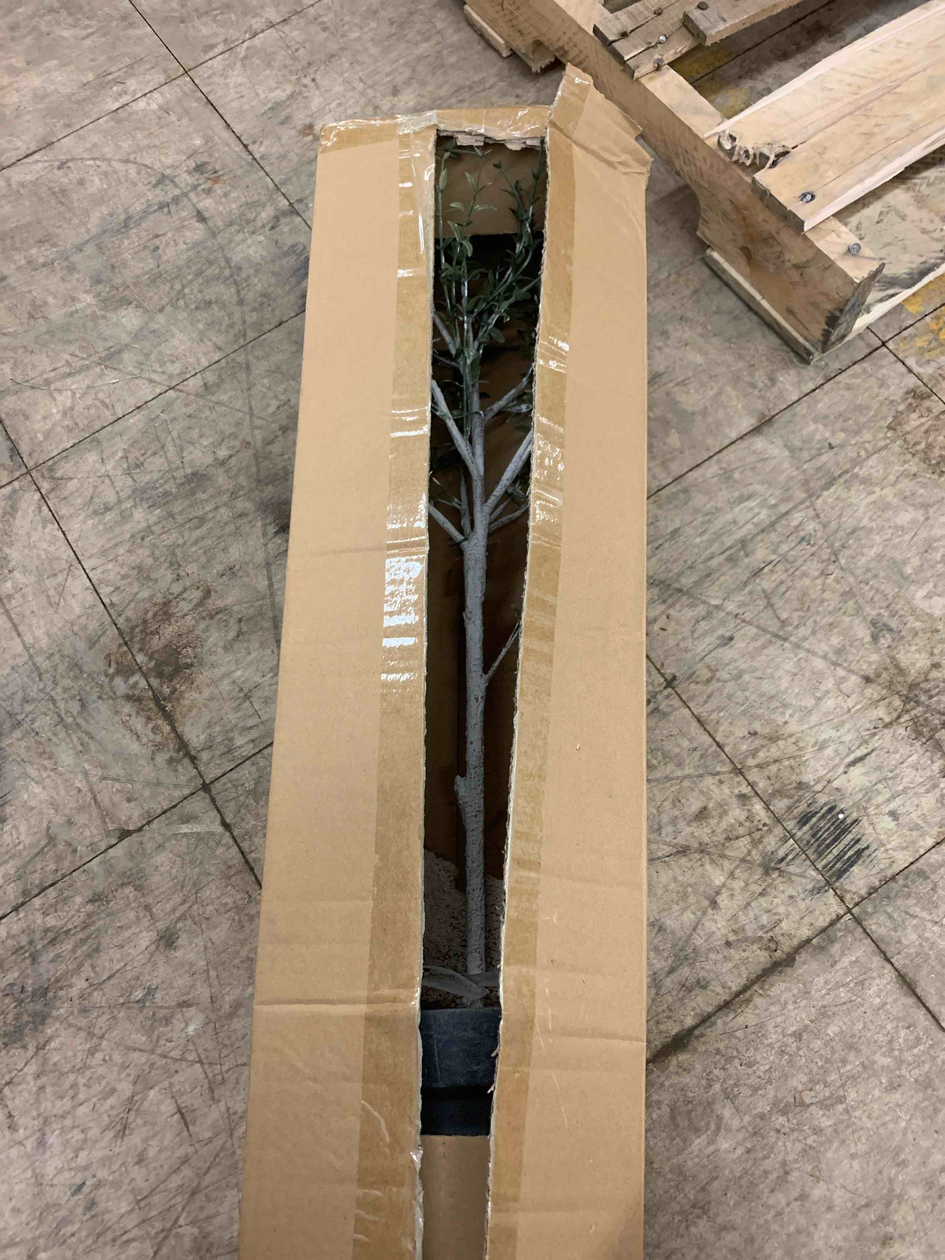 https://s3.amazonaws.com/lotting-images-prod/phillipi/RED6536726_1734541453172.jpeg