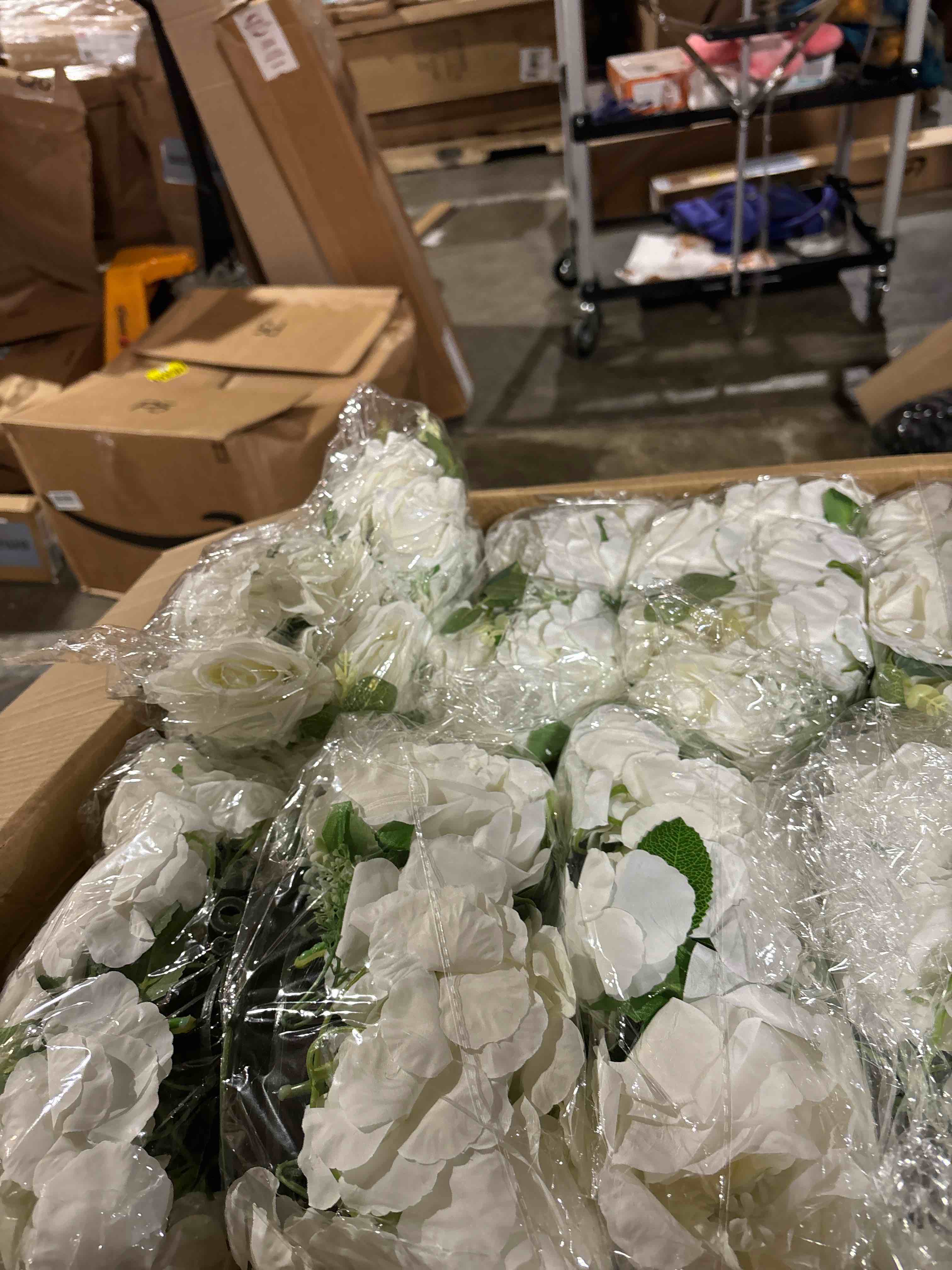 https://s3.amazonaws.com/lotting-images-prod/phillipi/TEA0072827_1731446893010.jpeg