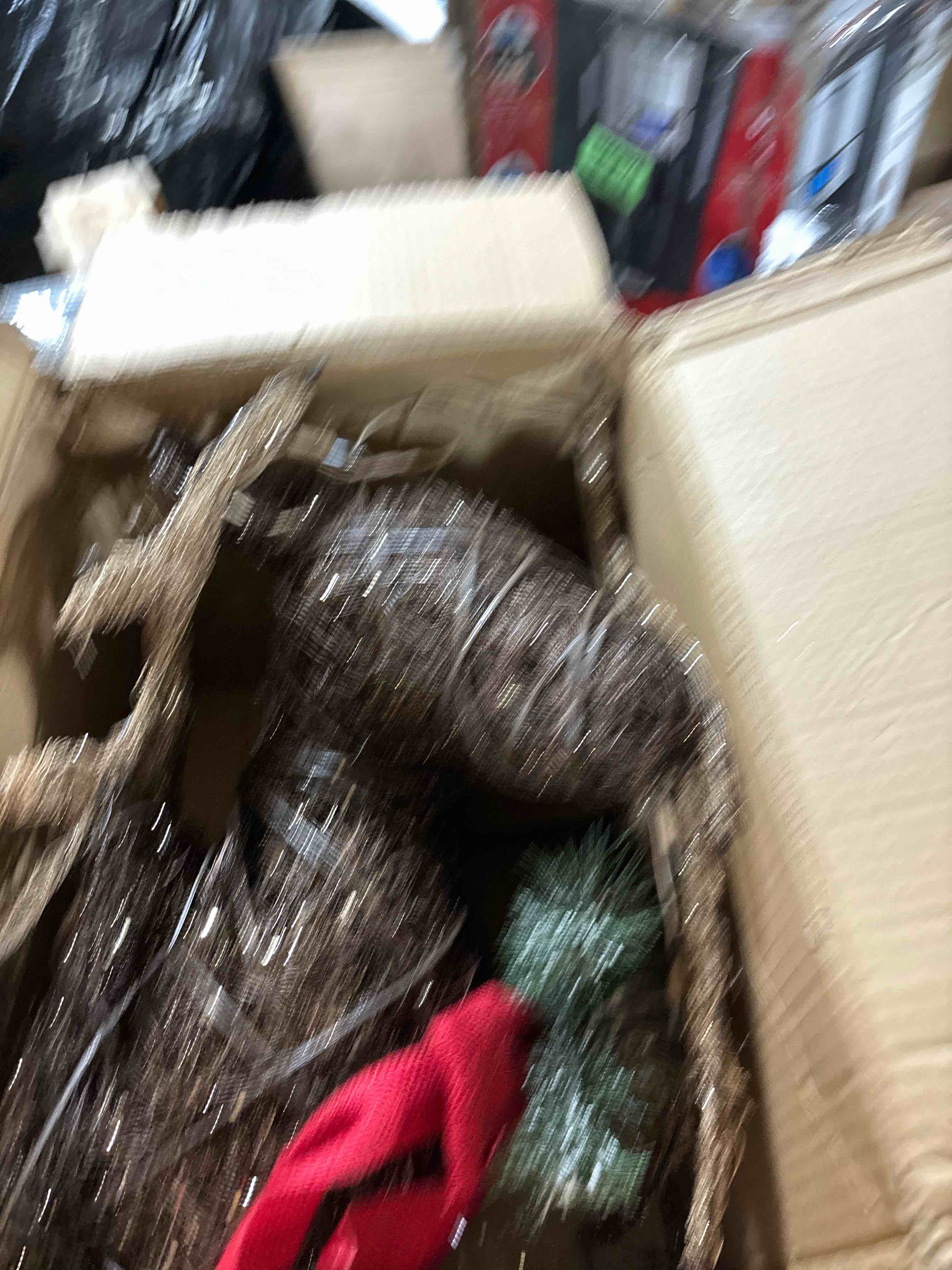 https://s3.amazonaws.com/lotting-images-prod/phillipi/TEA0075489_1729621965274.jpeg