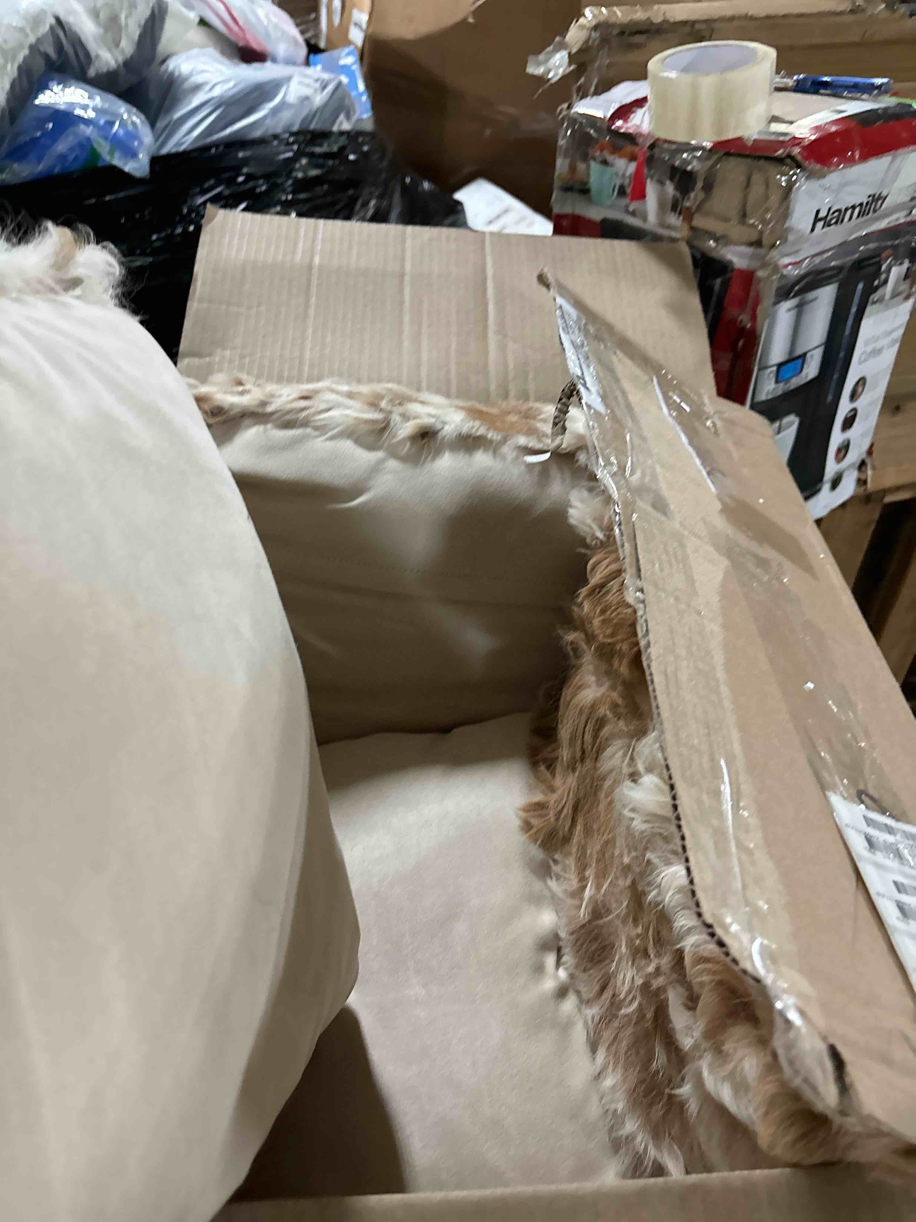 https://s3.amazonaws.com/lotting-images-prod/phillipi/TEA0075492_1729622703727.jpeg
