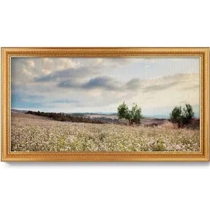 Tuscan Wildflowers Premium Framed Canvas- Ready to Hang - 26x50 - Gold
