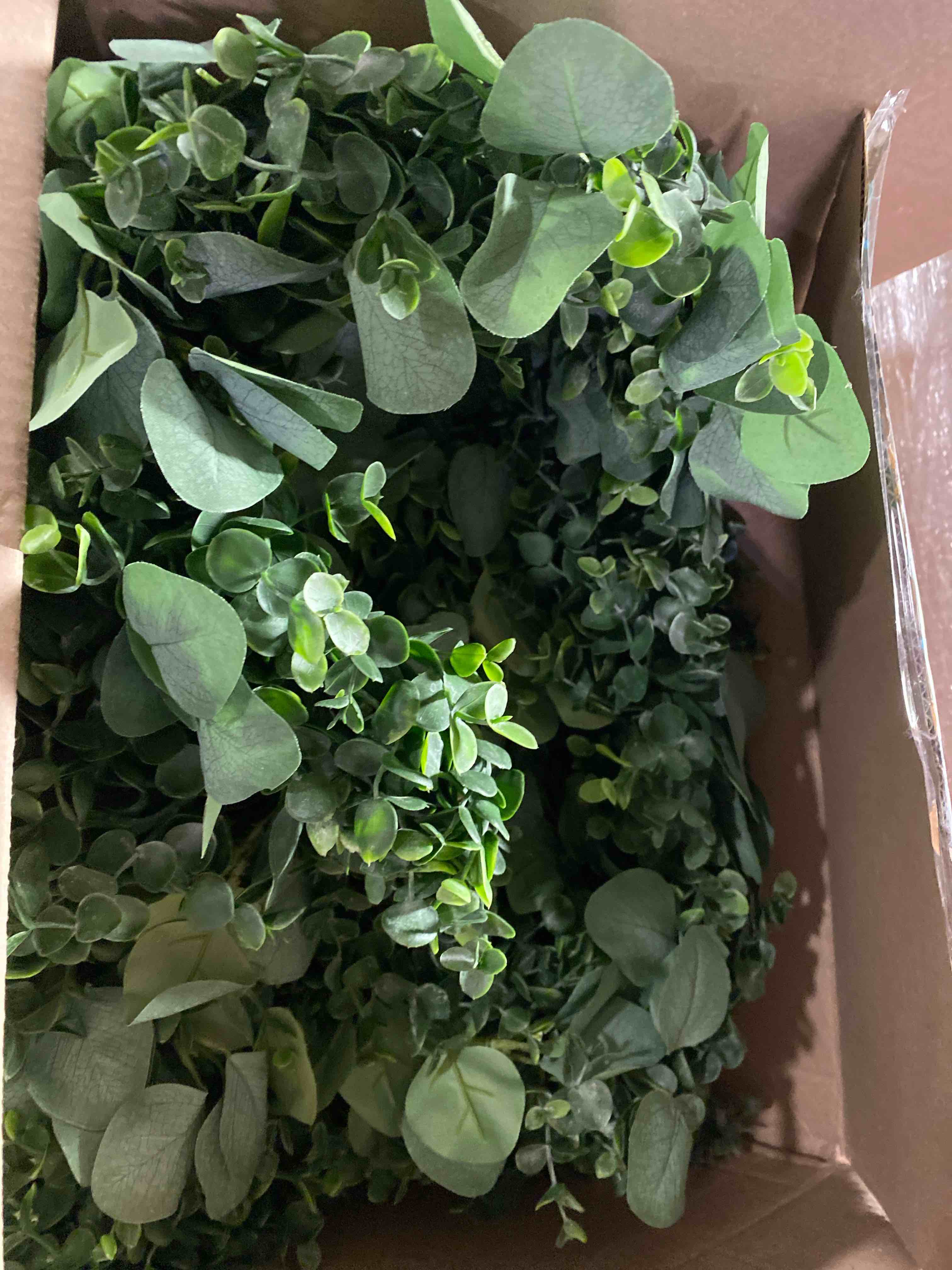 https://s3.amazonaws.com/lotting-images-prod/phillipi/TEA0076632_1728584332321.jpeg