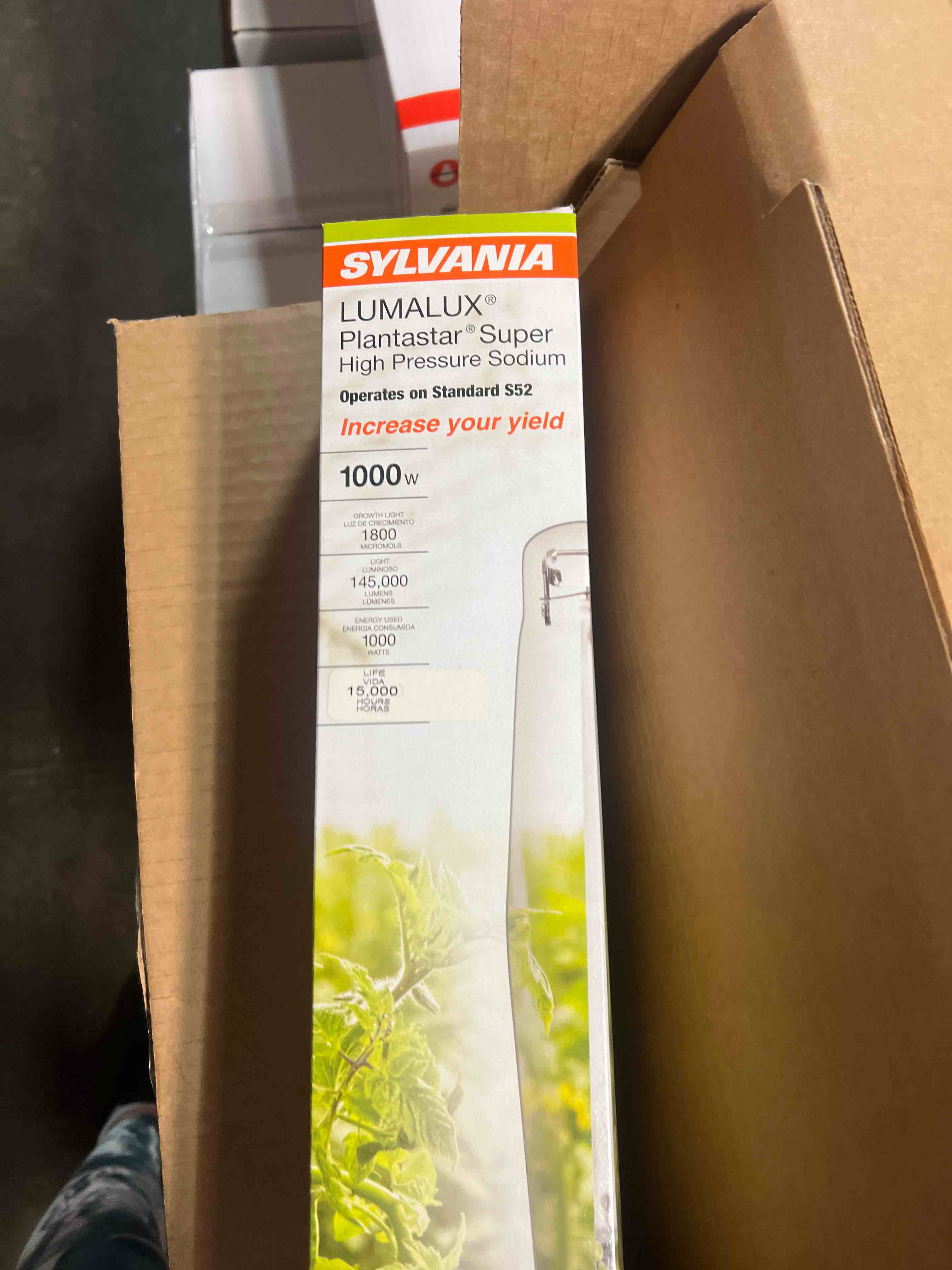 https://s3.amazonaws.com/lotting-images-prod/phillipi/TEA0077027_1728398220502.jpeg