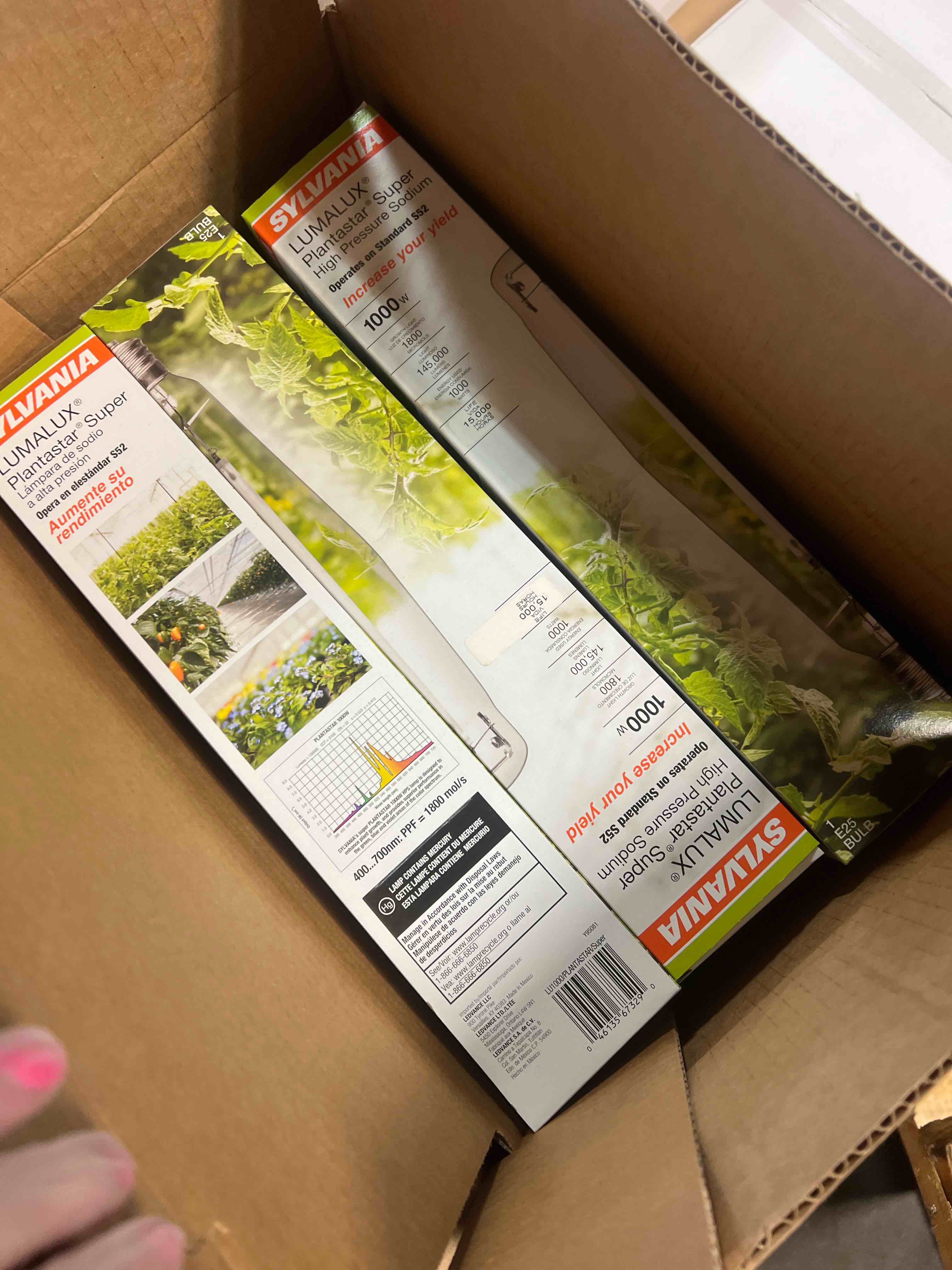 https://s3.amazonaws.com/lotting-images-prod/phillipi/TEA0077027_1728398223615.jpeg
