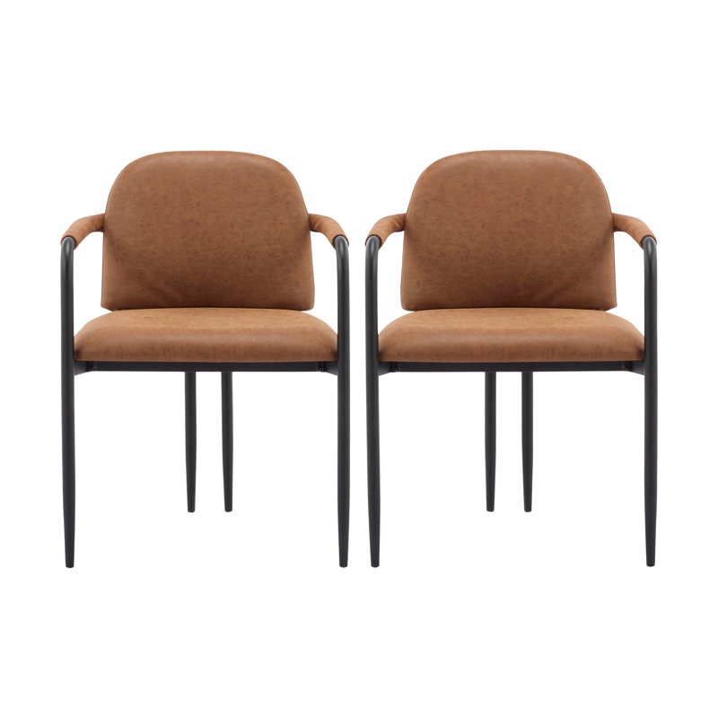 Denver Modern Dining Chairs With Iron Frame (Set of 2)
