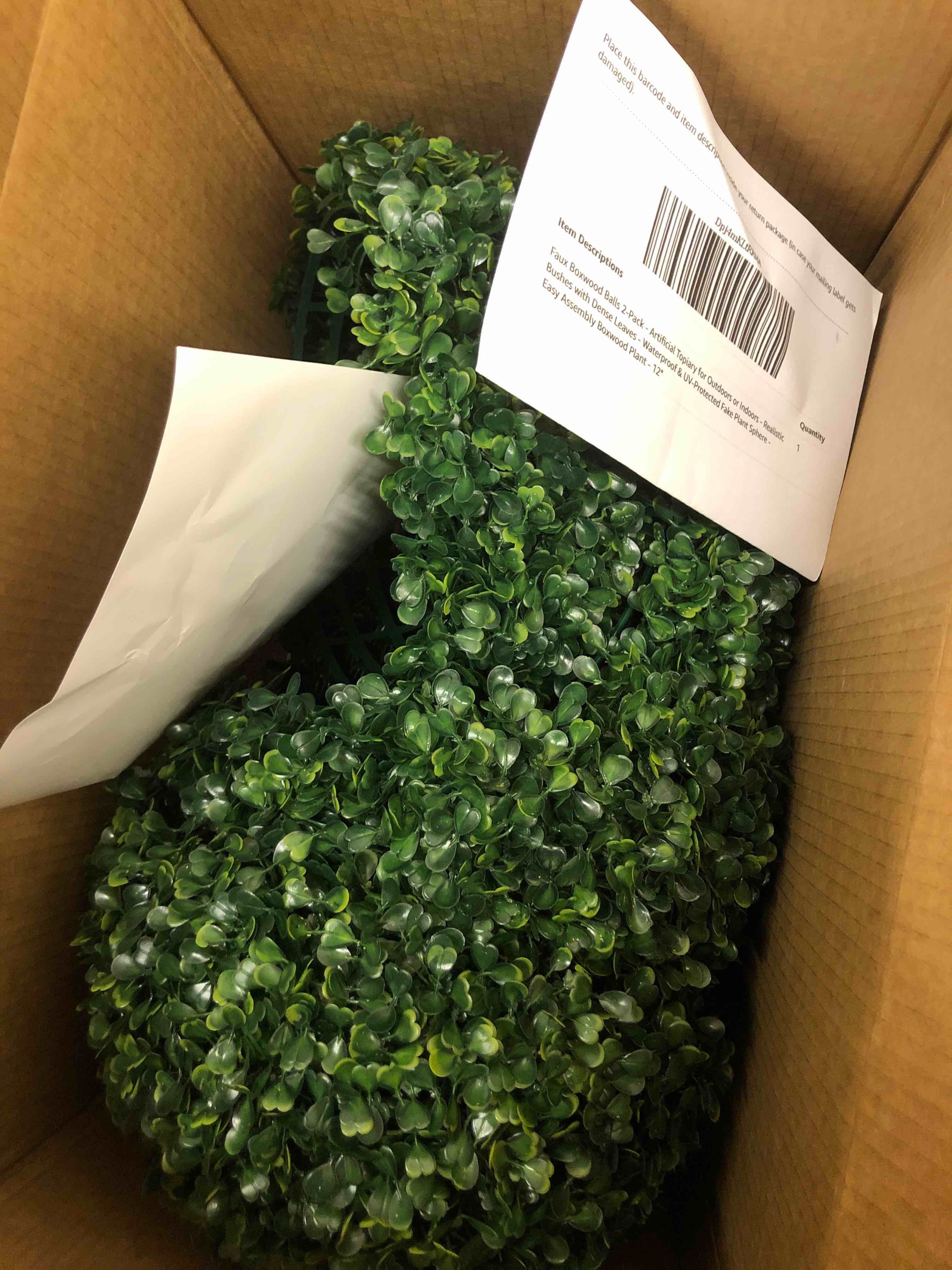 https://s3.amazonaws.com/lotting-images-prod/phillipi/TEA0082464_1738174684086.jpeg