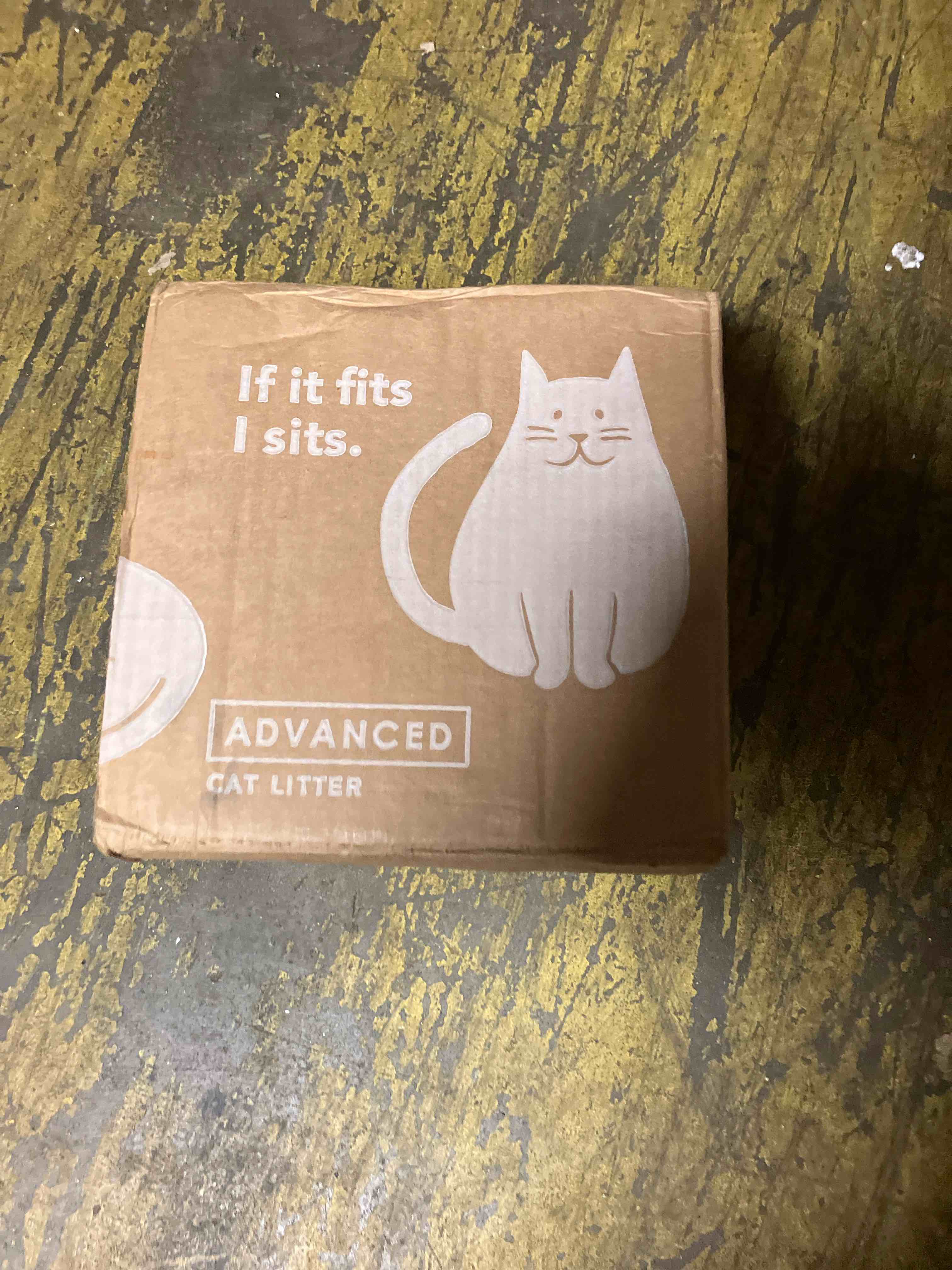 https://s3.amazonaws.com/lotting-images-prod/phillipi/TEA1208768_1753796674534.jpeg