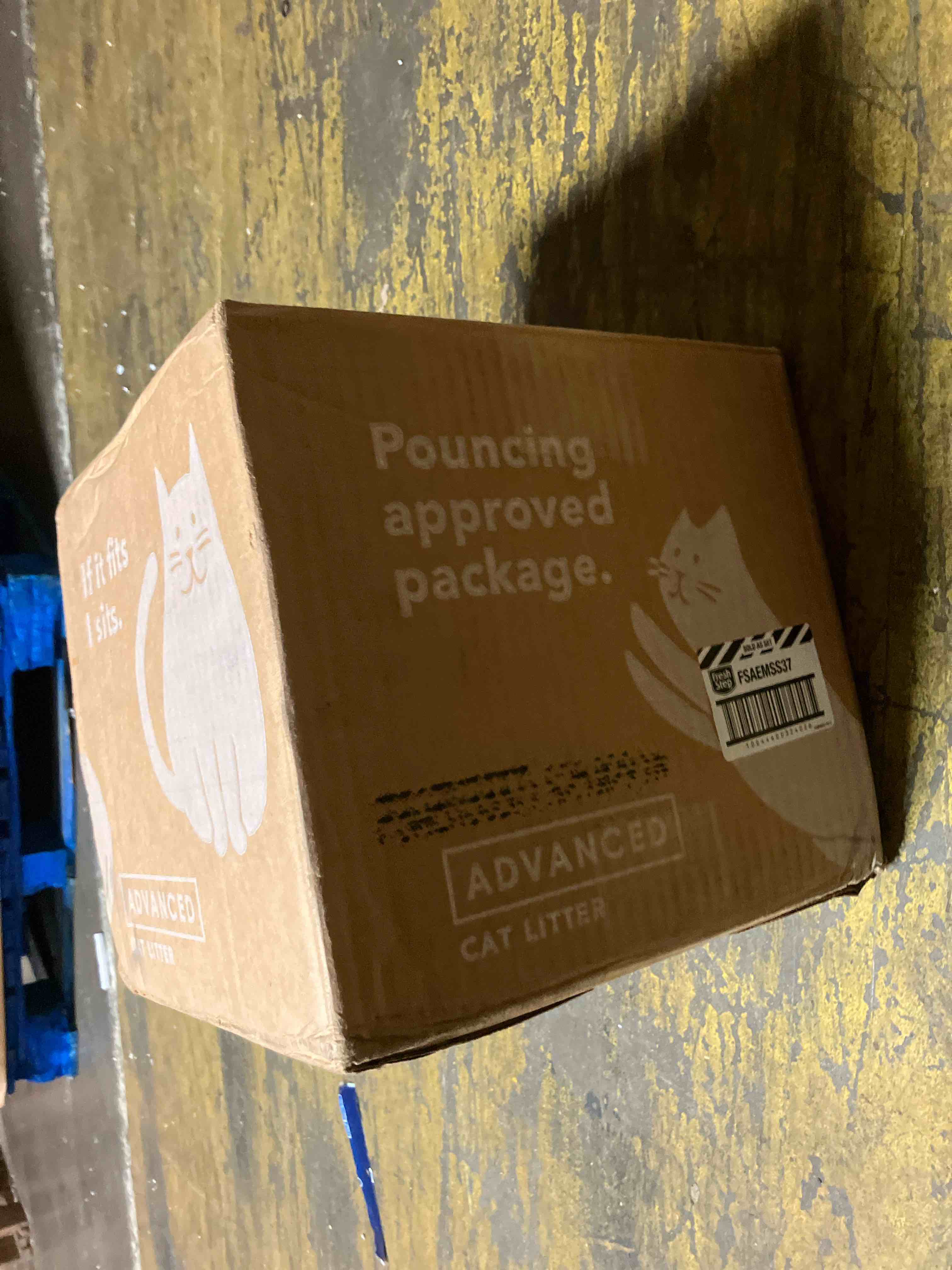 https://s3.amazonaws.com/lotting-images-prod/phillipi/TEA1208768_1753796676996.jpeg