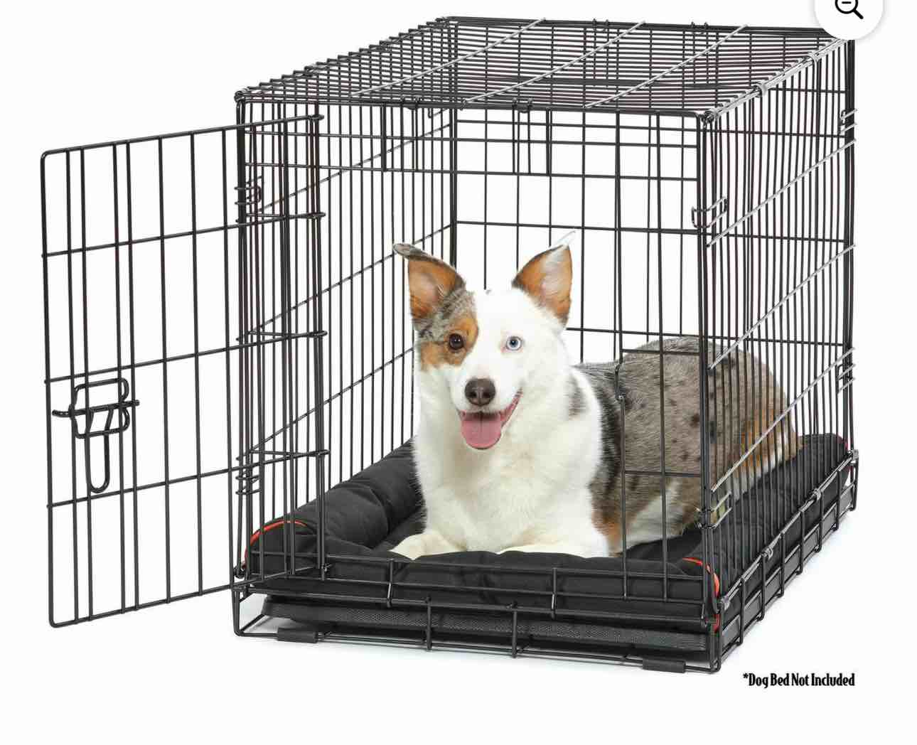 Vibrant Life Single Door Folding Metal Wire Dog Crate with Divider and Tray, Black, 30"