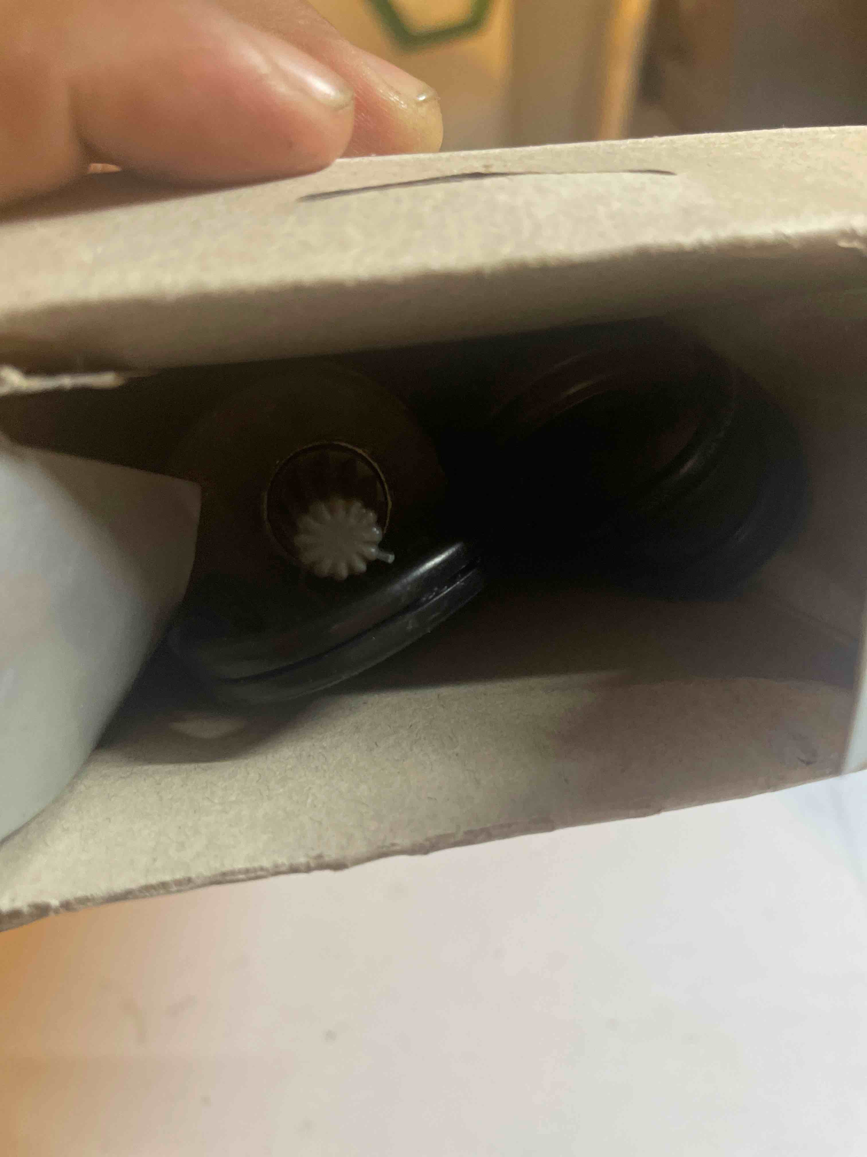 https://s3.amazonaws.com/lotting-images-prod/phillipi/TEA1215877_1745971414818.jpeg