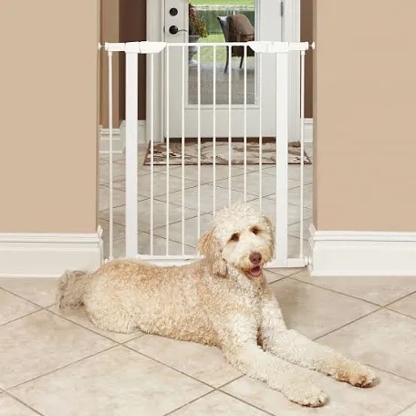 MidWest Homes for Pets 39  White Steel Pet Gate