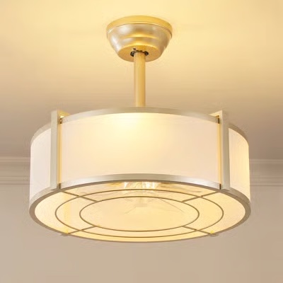 18" modern ceiling fan with light