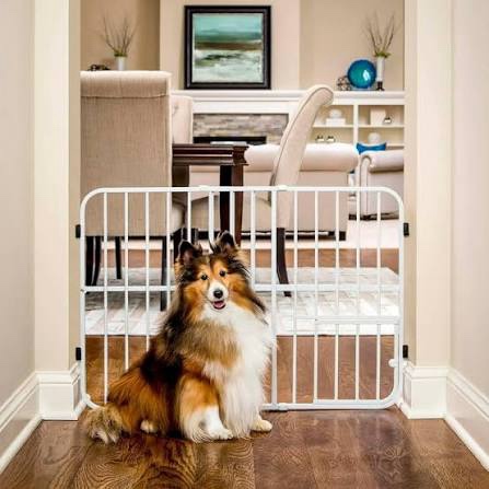 Carlson Lil Tuffy Metal Expandable Gate White, 38 x 1 x 18