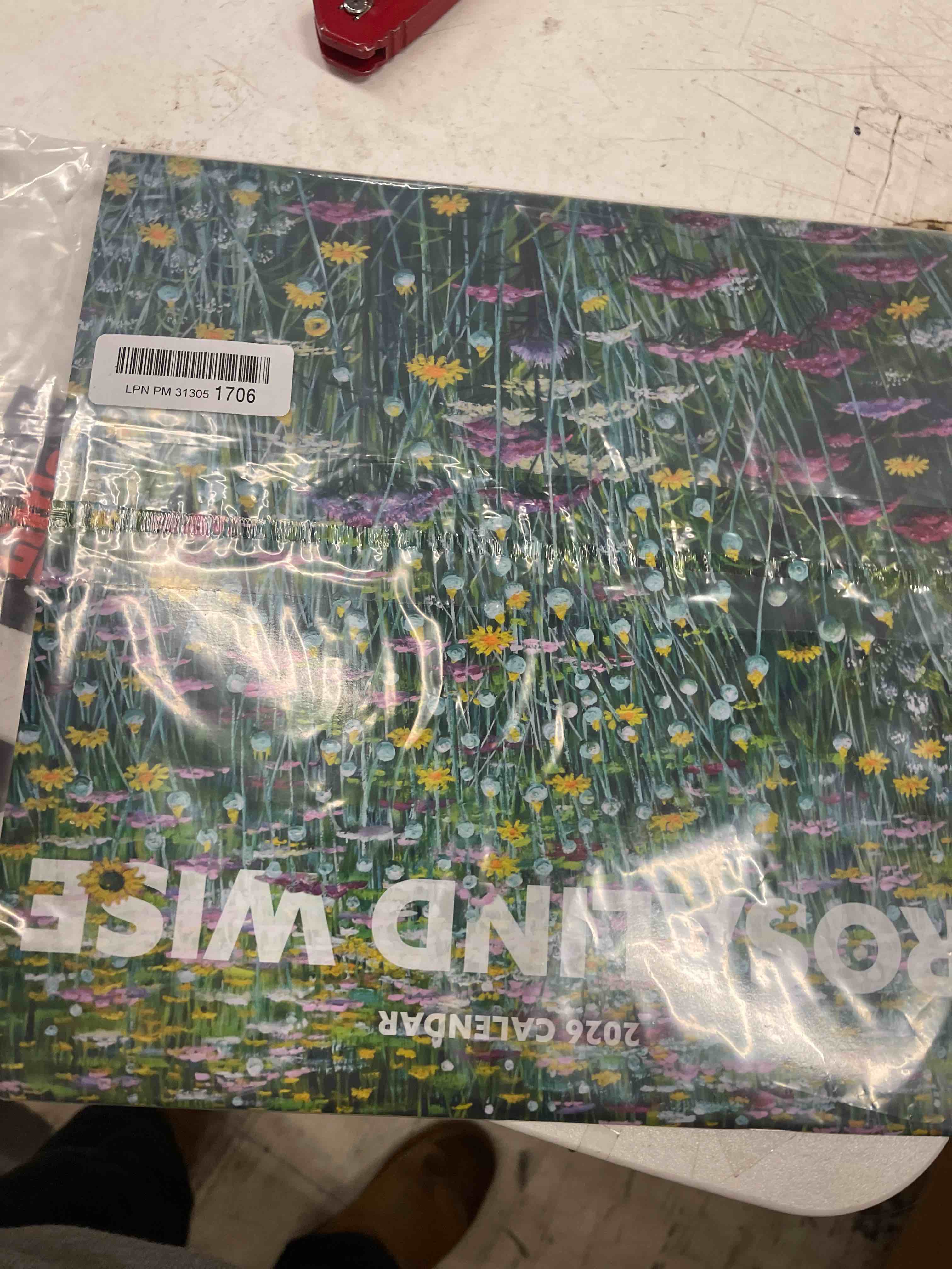 Condition photo showing New/Like New for Rosalind Wise 2026 Wall Calendar