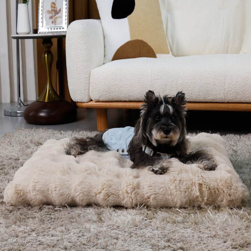 6 sizes ultra plush pet dog bed, fluffy anti anxiety dog cage bed mattress with non-slip bottom, removable waterproof cover, machine washable -small