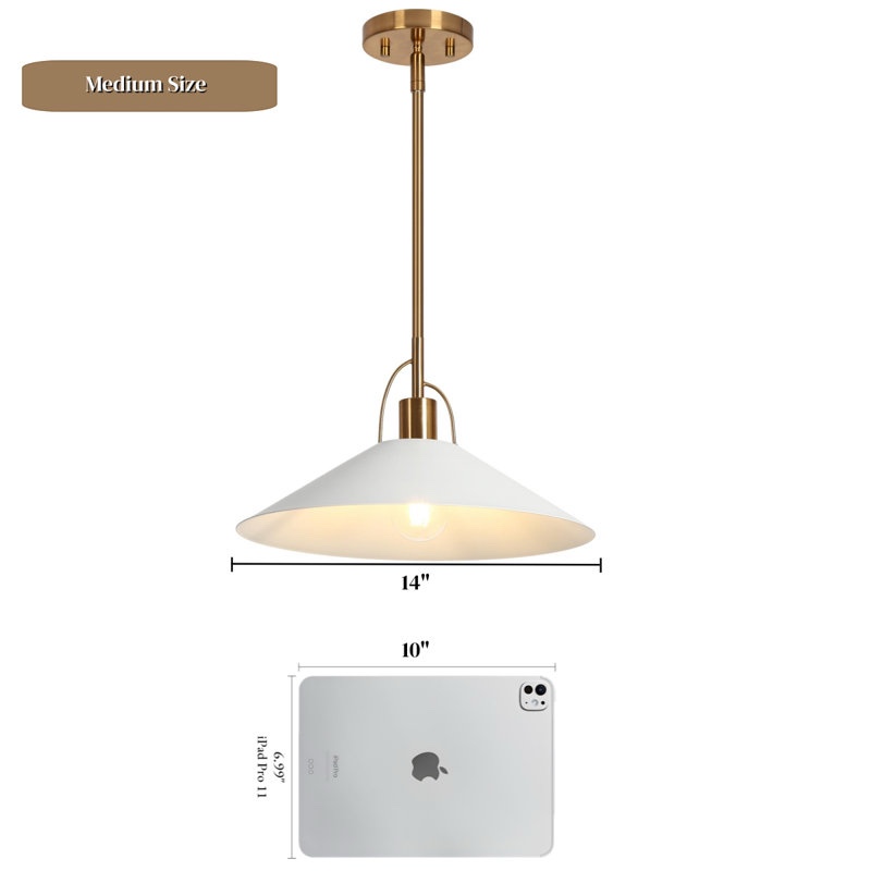 Condition photo showing New/Like New for Tilda 1 - Light 14" Wide Electroplated Brass Single Pendant