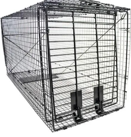 Humane Way Folding 50 Inch Live Humane Animal Trap - Safe Traps for All Animals - Dogs, Raccoons, Cats, Groundhogs, Opossums, Coyote, Bobcat - 50"x20"x26"