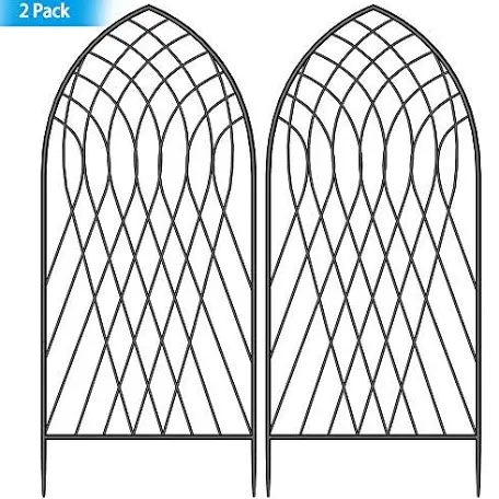 https://s3.amazonaws.com/lotting-images-prod/phillipi/TEA1807031_1758739507297.jpeg