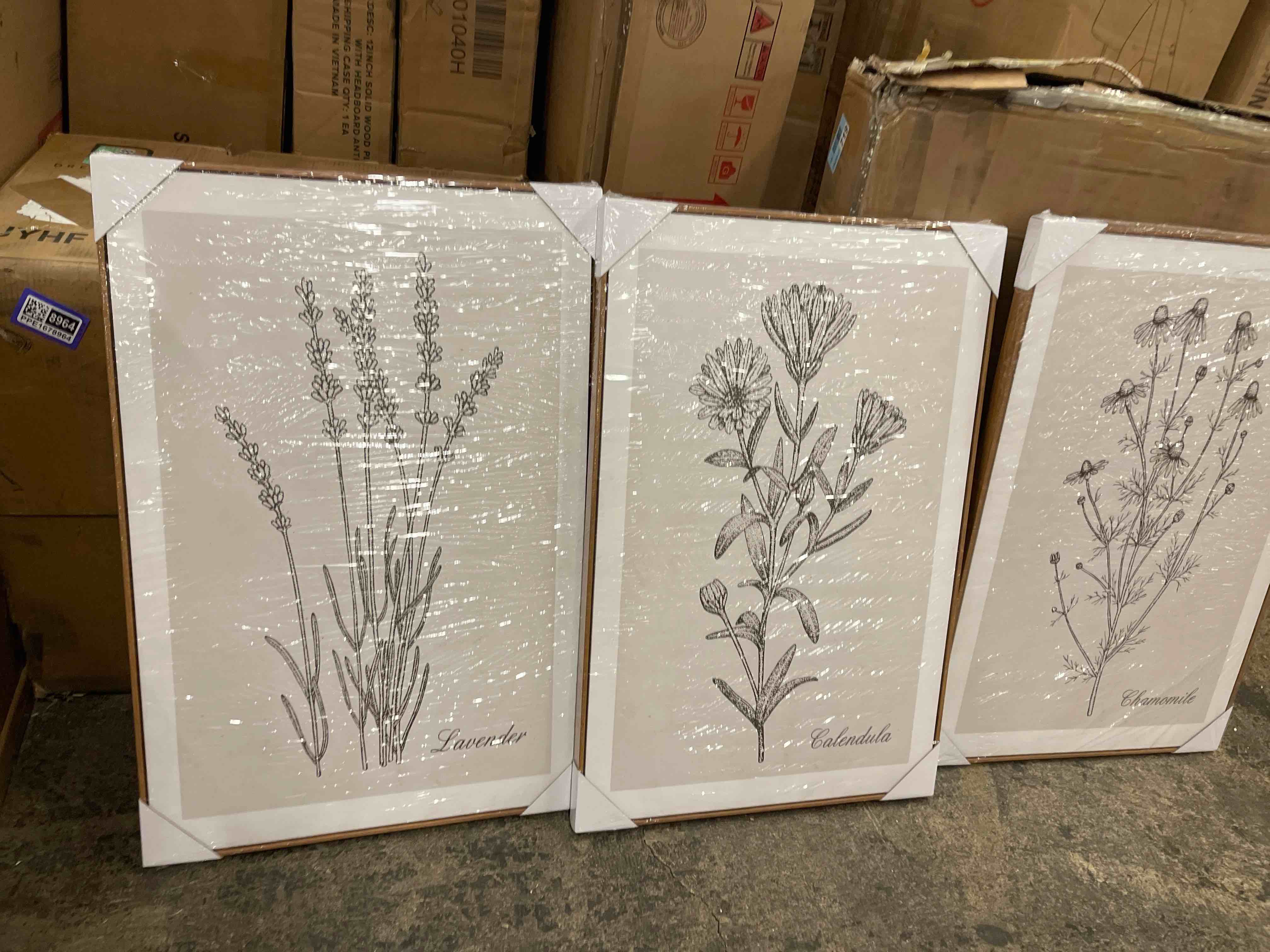 Condition photo showing New/Like New for Framed Canvas Print Wall Art Set Retro Vintage Antique Garden Wildflowers Nature Wilderness Illustrations Modern Art Decorative Minimalist Floral Botanical Flowers for Bedroom - 24"x36"x3 Natural
