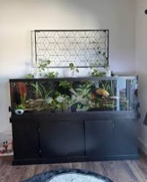 Condition photo showing New/Like New for mygift 4-foot geometric cube pattern matte black metal garden trellis