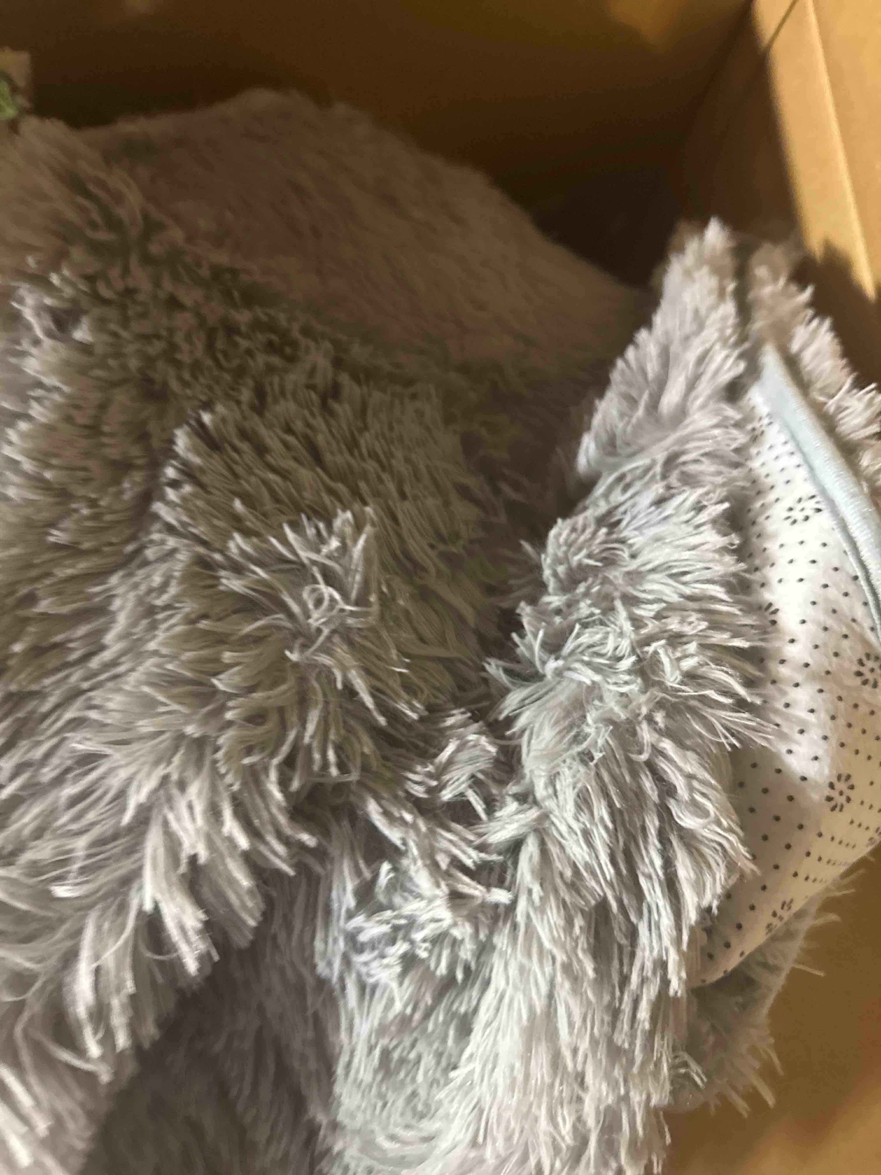 https://s3.amazonaws.com/lotting-images-prod/phillipi/TEA2229915_1752674245297.jpeg