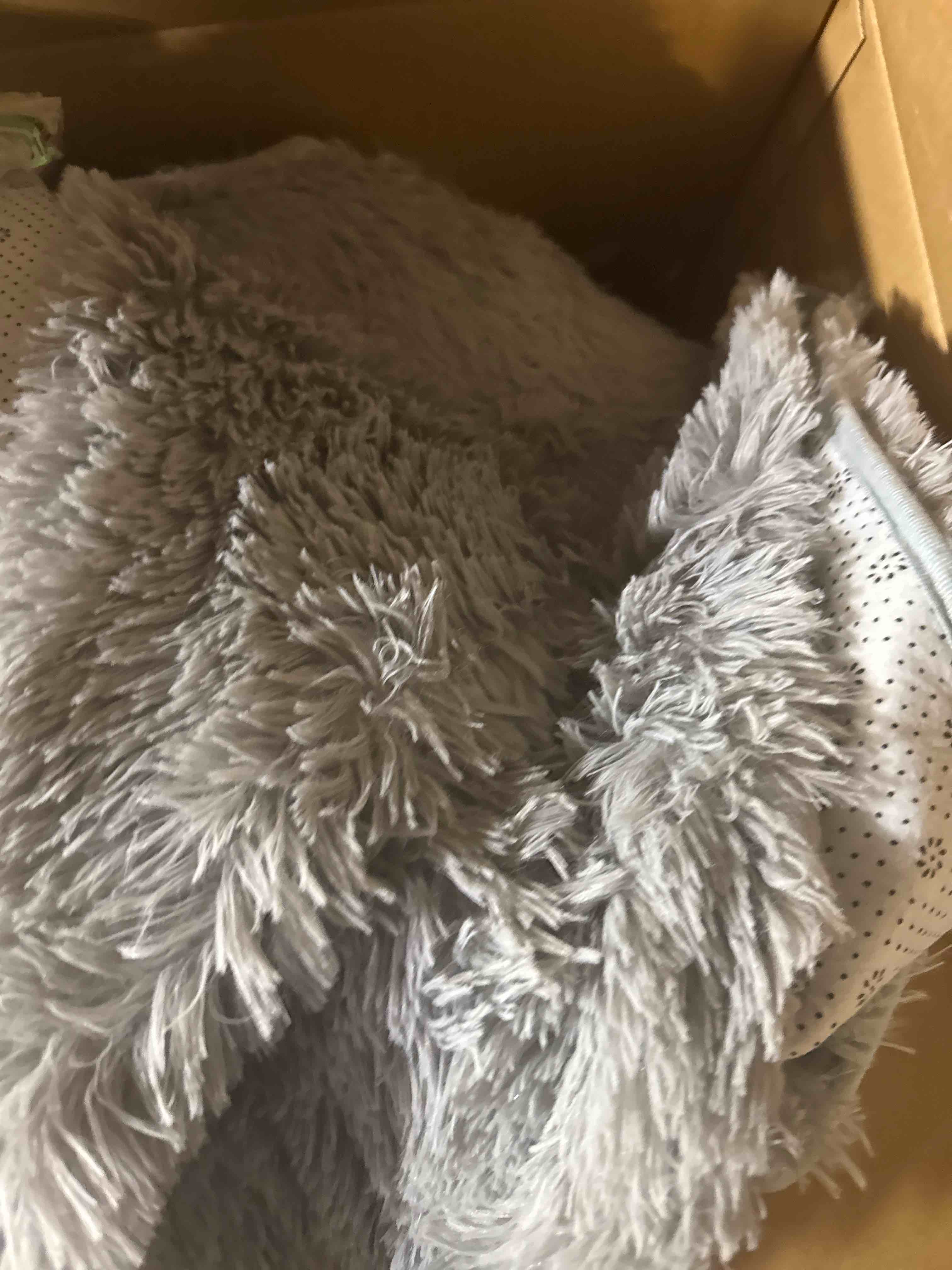 https://s3.amazonaws.com/lotting-images-prod/phillipi/TEA2229915_1752674246244.jpeg