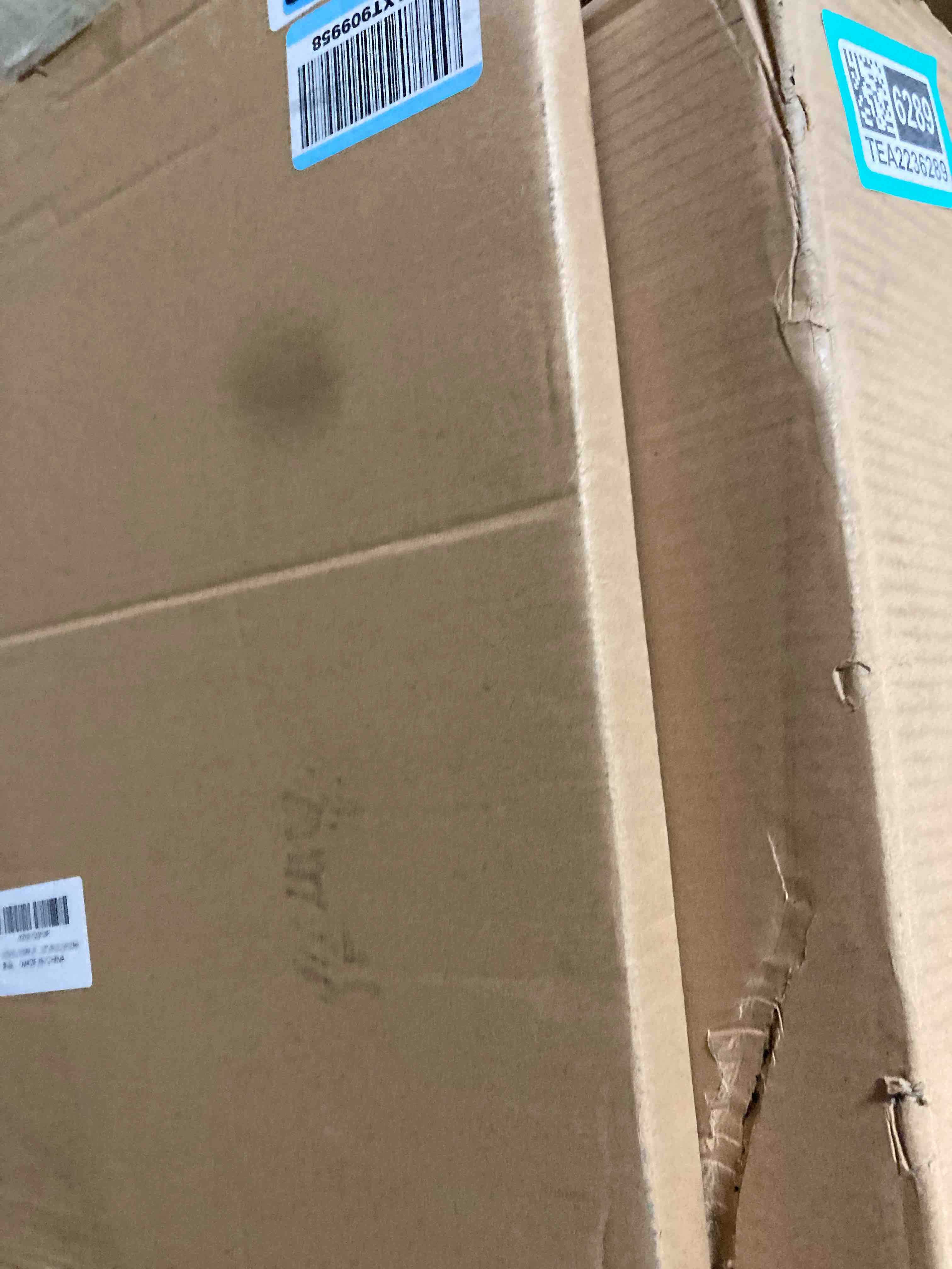 https://s3.amazonaws.com/lotting-images-prod/phillipi/TEA2236278_1754681023099.jpeg