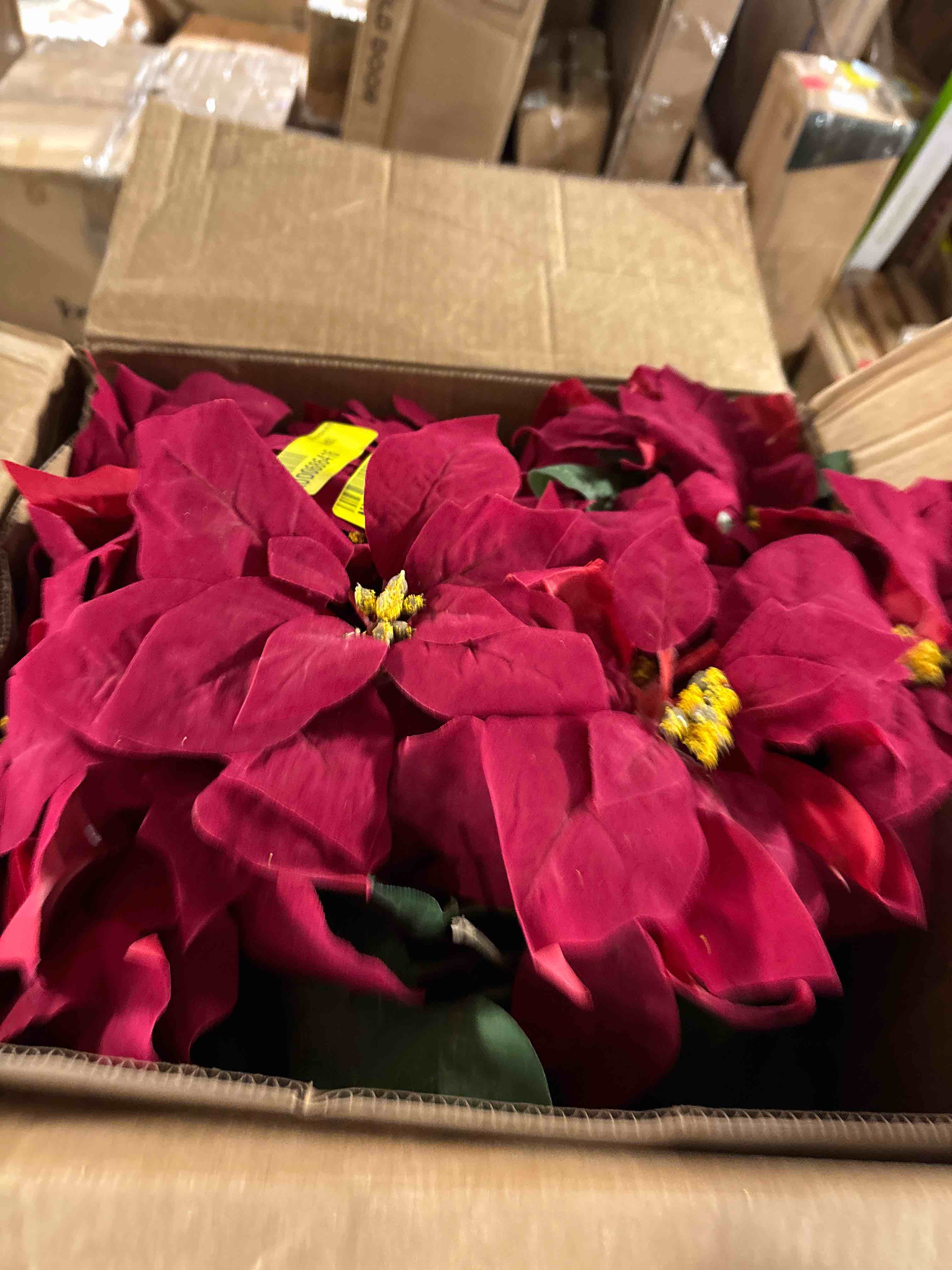 https://s3.amazonaws.com/lotting-images-prod/phillipi/TEA2243545_1751557528484.jpeg