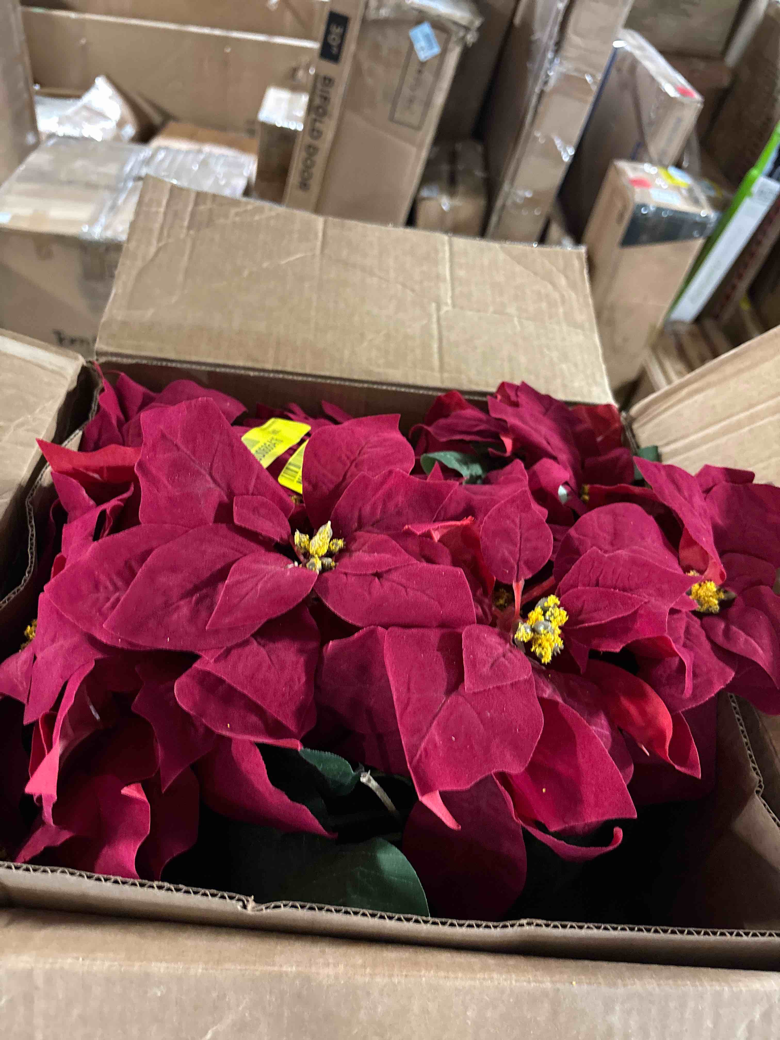 https://s3.amazonaws.com/lotting-images-prod/phillipi/TEA2243545_1751557529701.jpeg