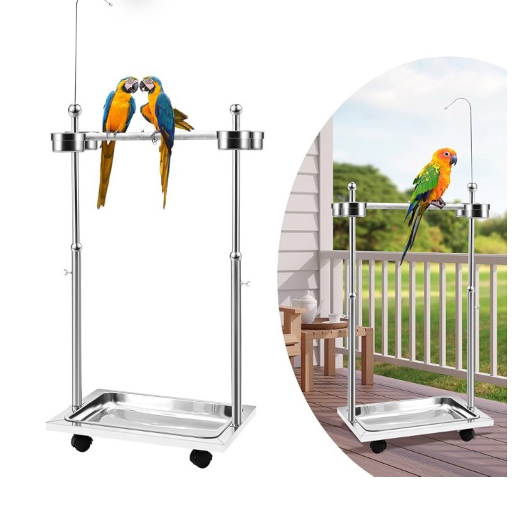 https://s3.amazonaws.com/lotting-images-prod/phillipi/TEA2244065_1751992276555.jpeg