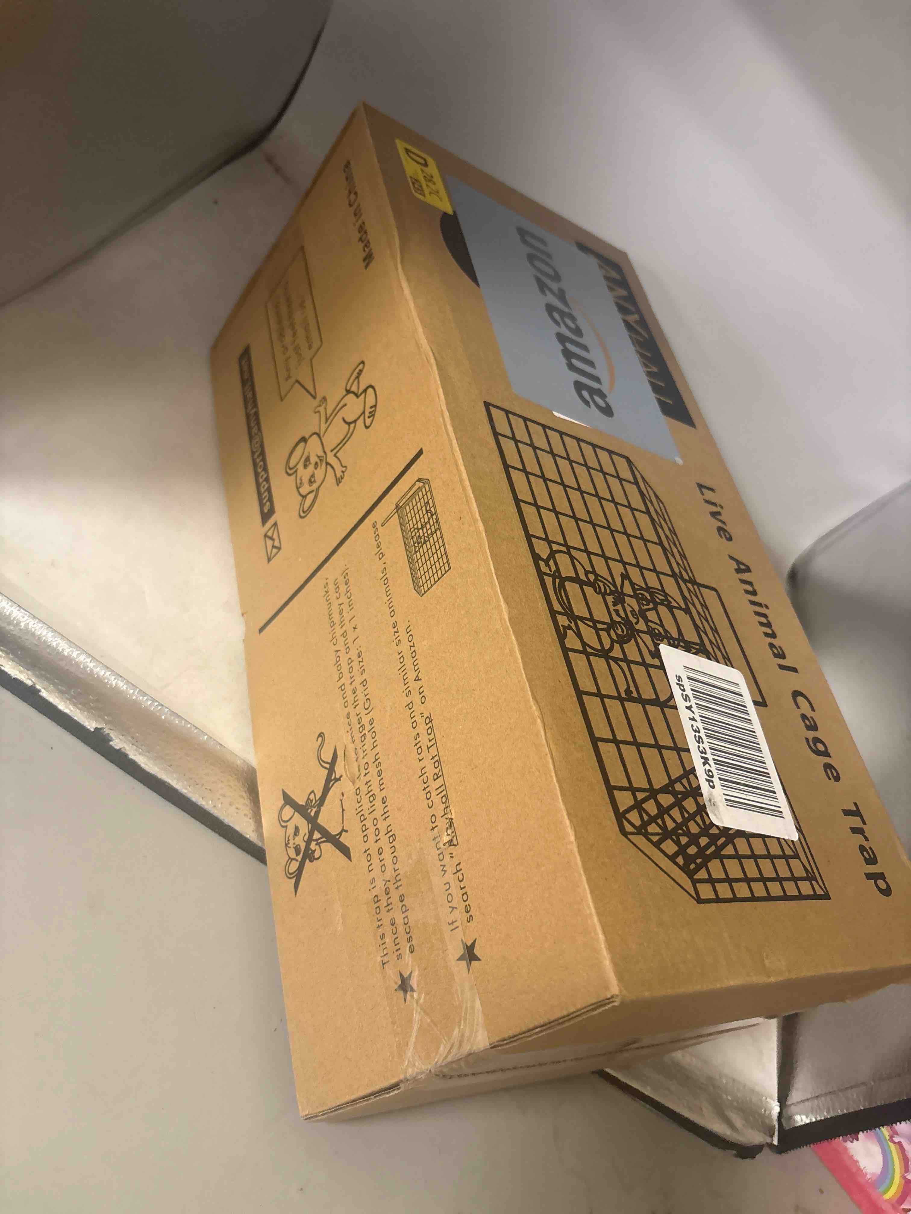 https://s3.amazonaws.com/lotting-images-prod/phillipi/TEA3354694_1754418521825.jpeg