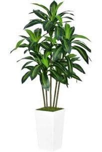 artificial dracaena tree 5ft - faux tree with white tall planter - fake tropical yucca floor plant in pot - artificial silk tree for home office living room decor indoor