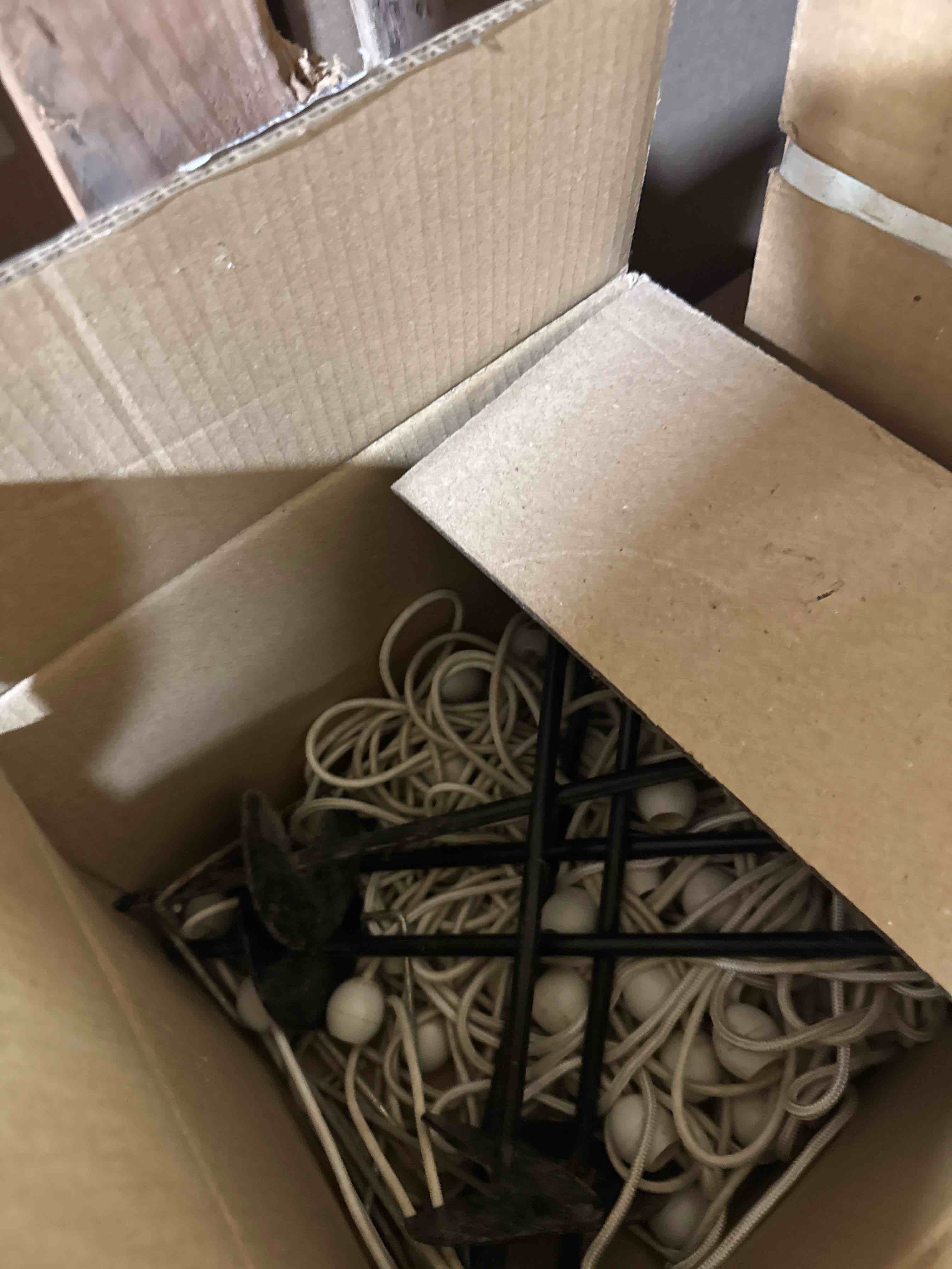 https://s3.amazonaws.com/lotting-images-prod/phillipi/TEA3360522_1757771538243.jpeg