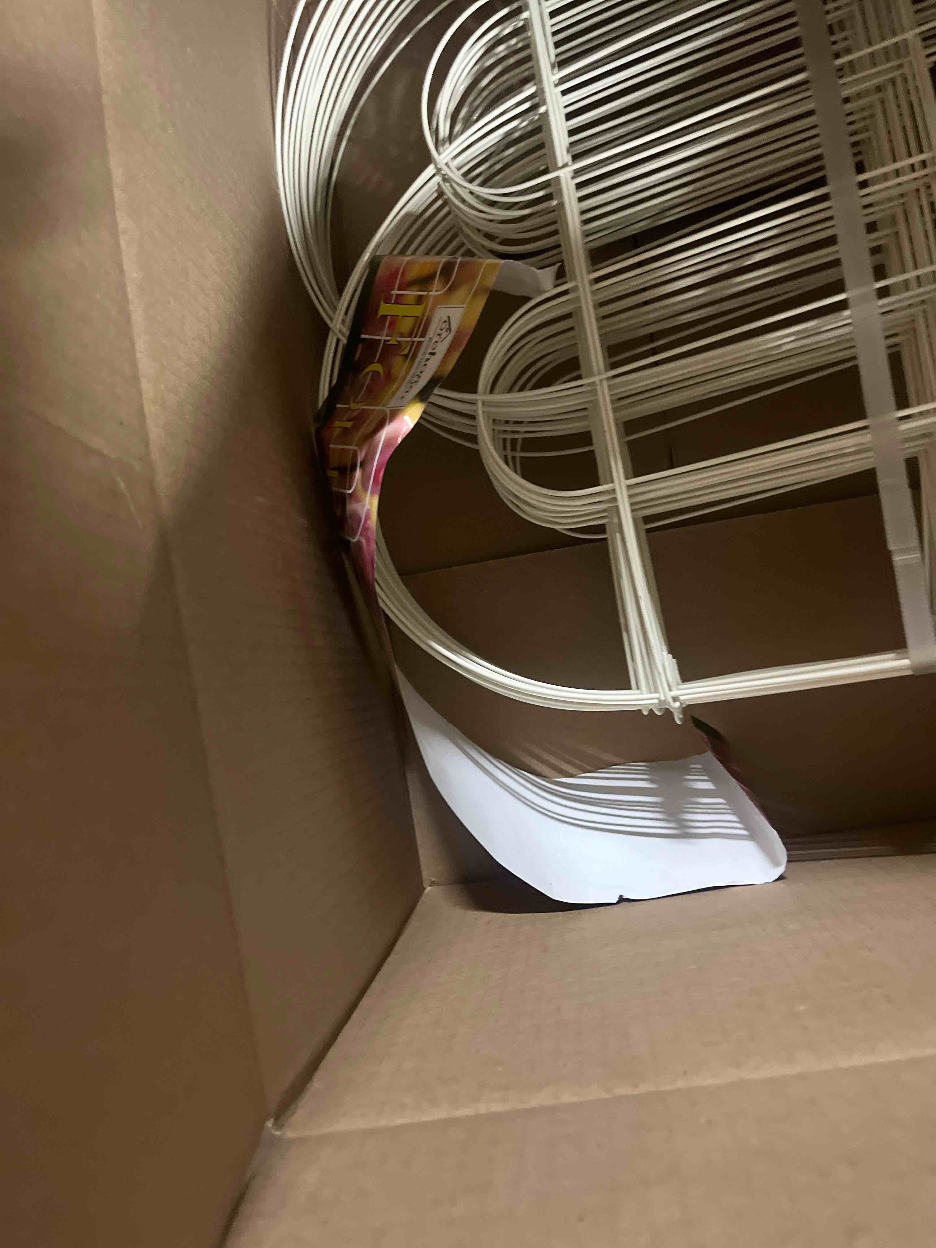 https://s3.amazonaws.com/lotting-images-prod/phillipi/TEA3361653_1758137415957.jpeg